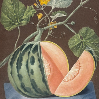 Brookshaw, Folio