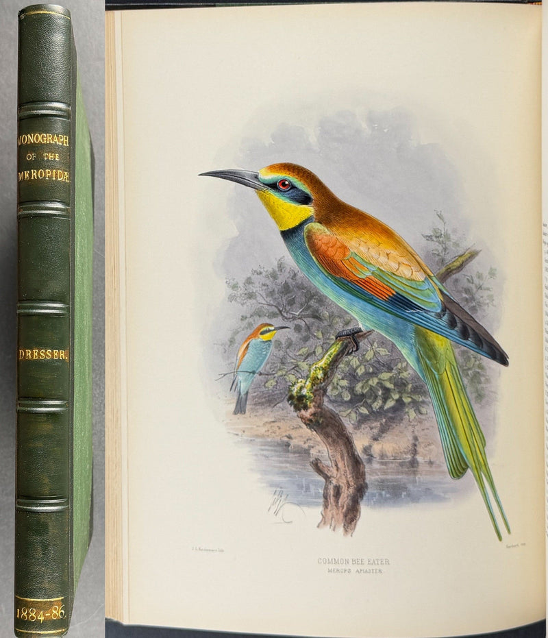 Dresser & Keulemans, Bee Eaters