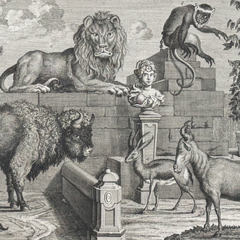 Kleiner, Mammals