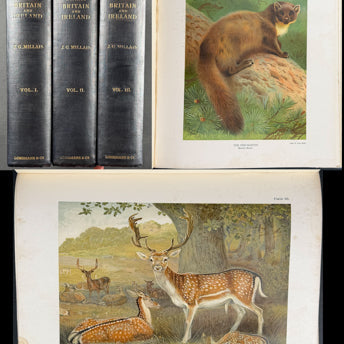 Millais, Mammals