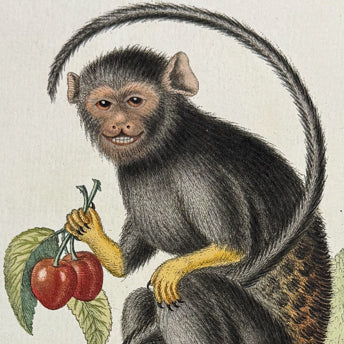 Mammals