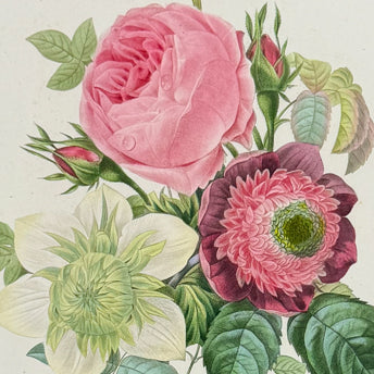 Redoute, Choix