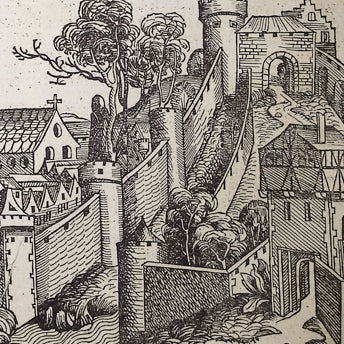 Schedel