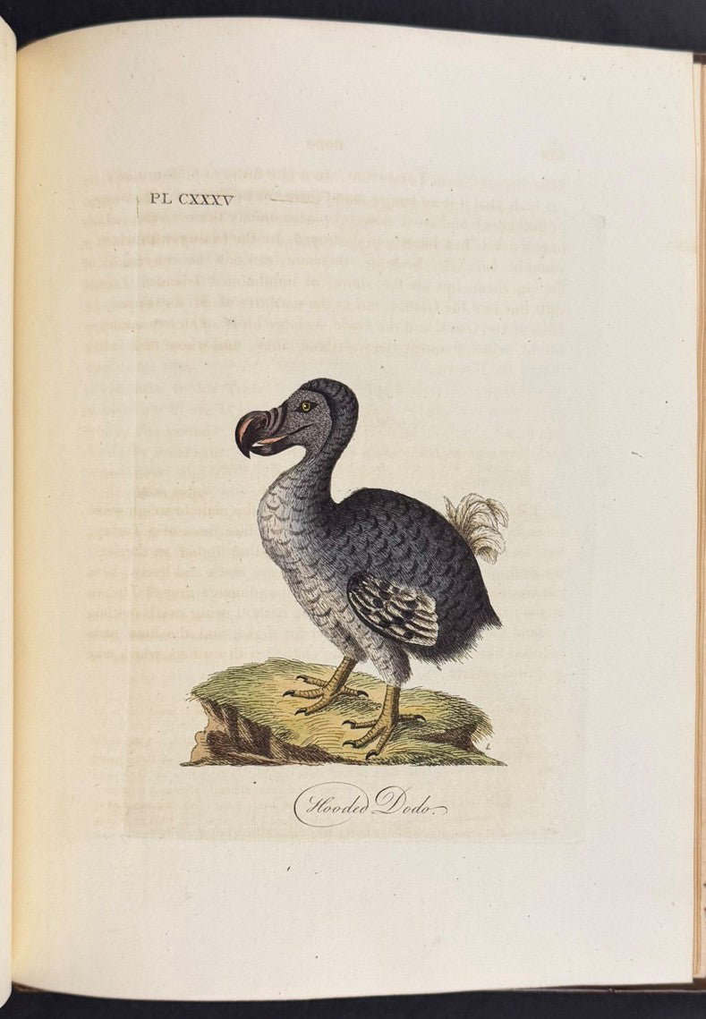 Latham's A General History of Birds - 11 Volumes with 193 Originally Hand-colored Engravings