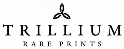 Trillium Rare Prints