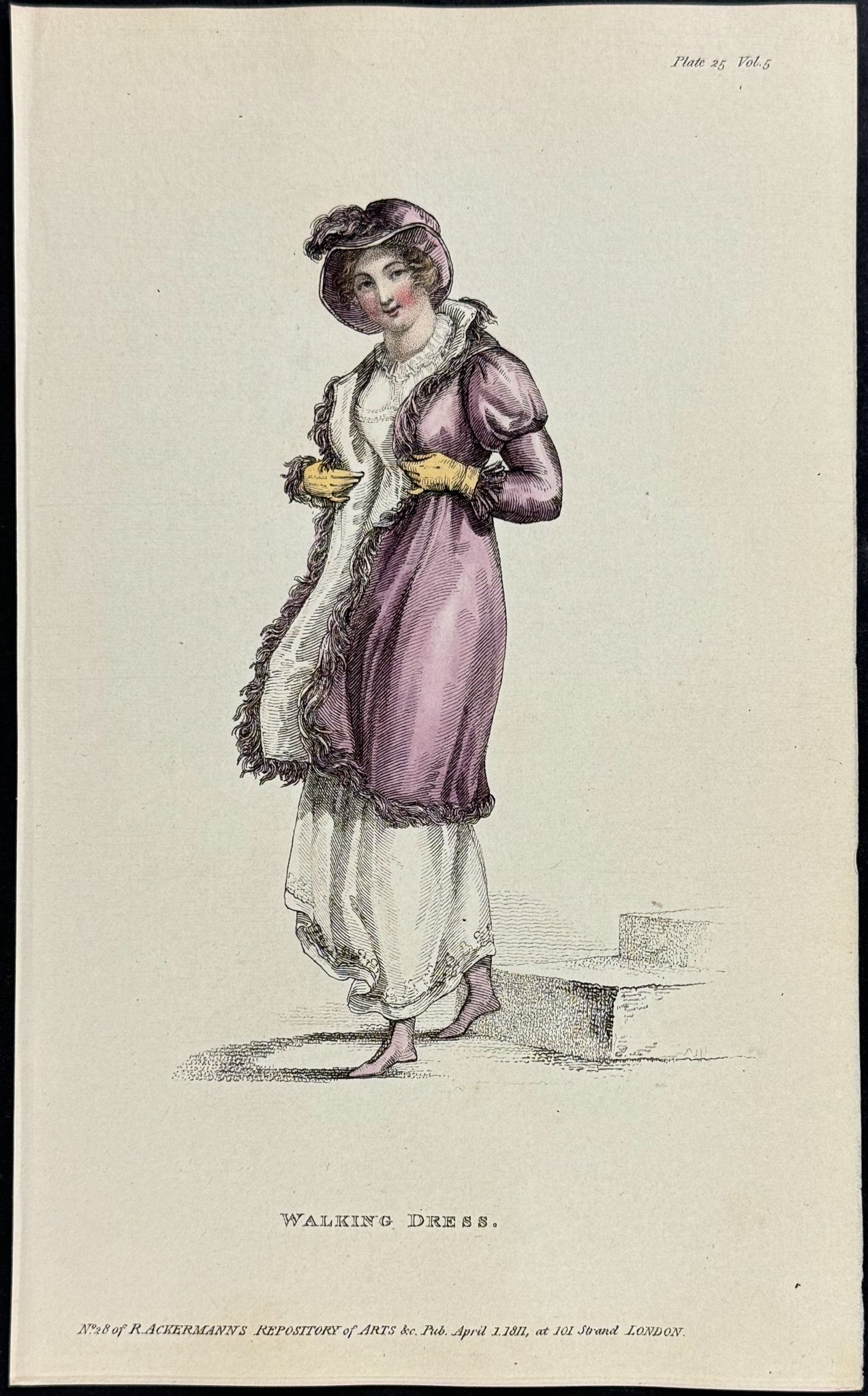 Fashionable Dress