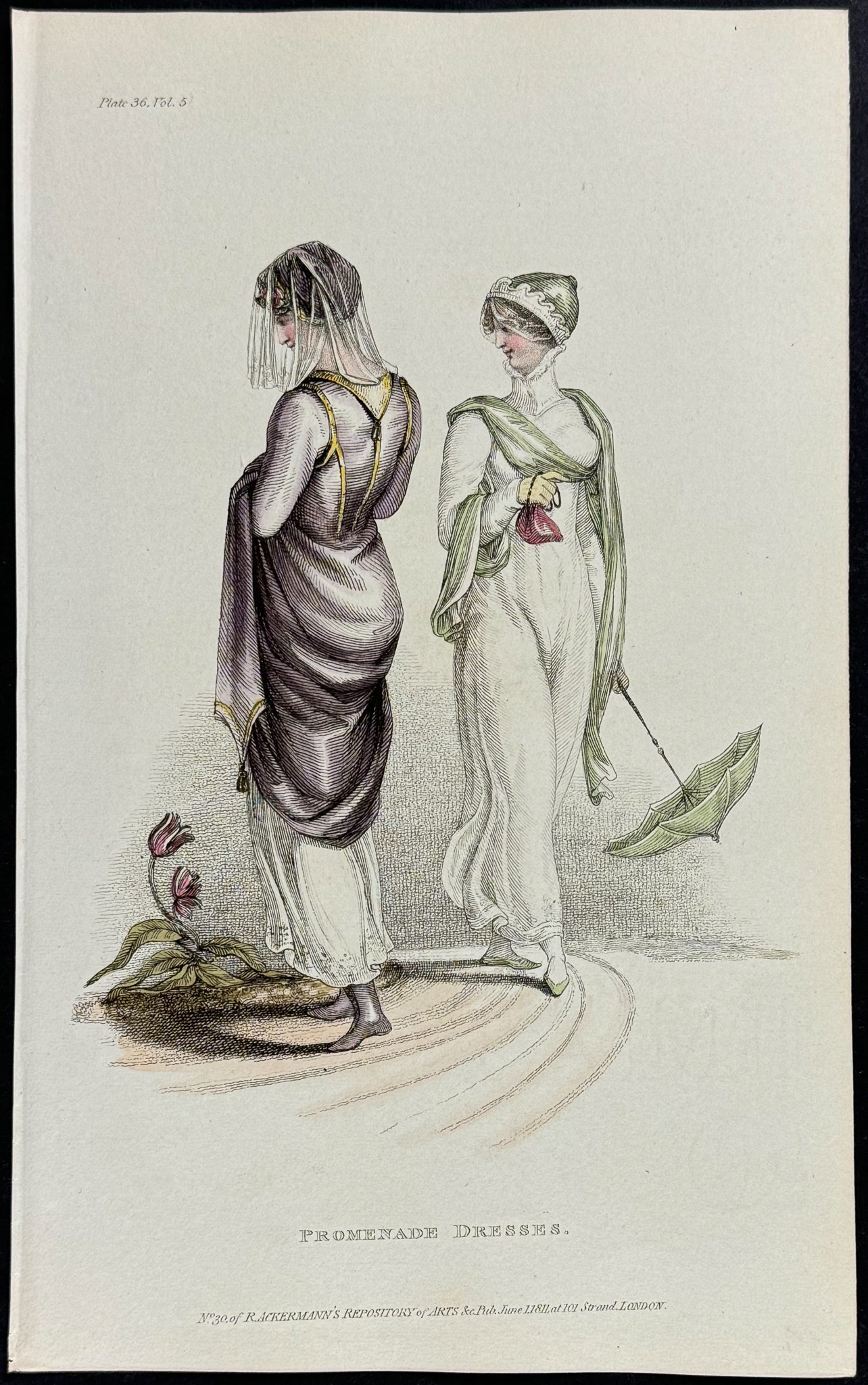 Fashionable Dress