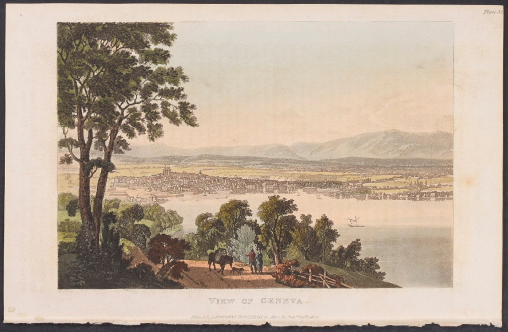 View of Geneva