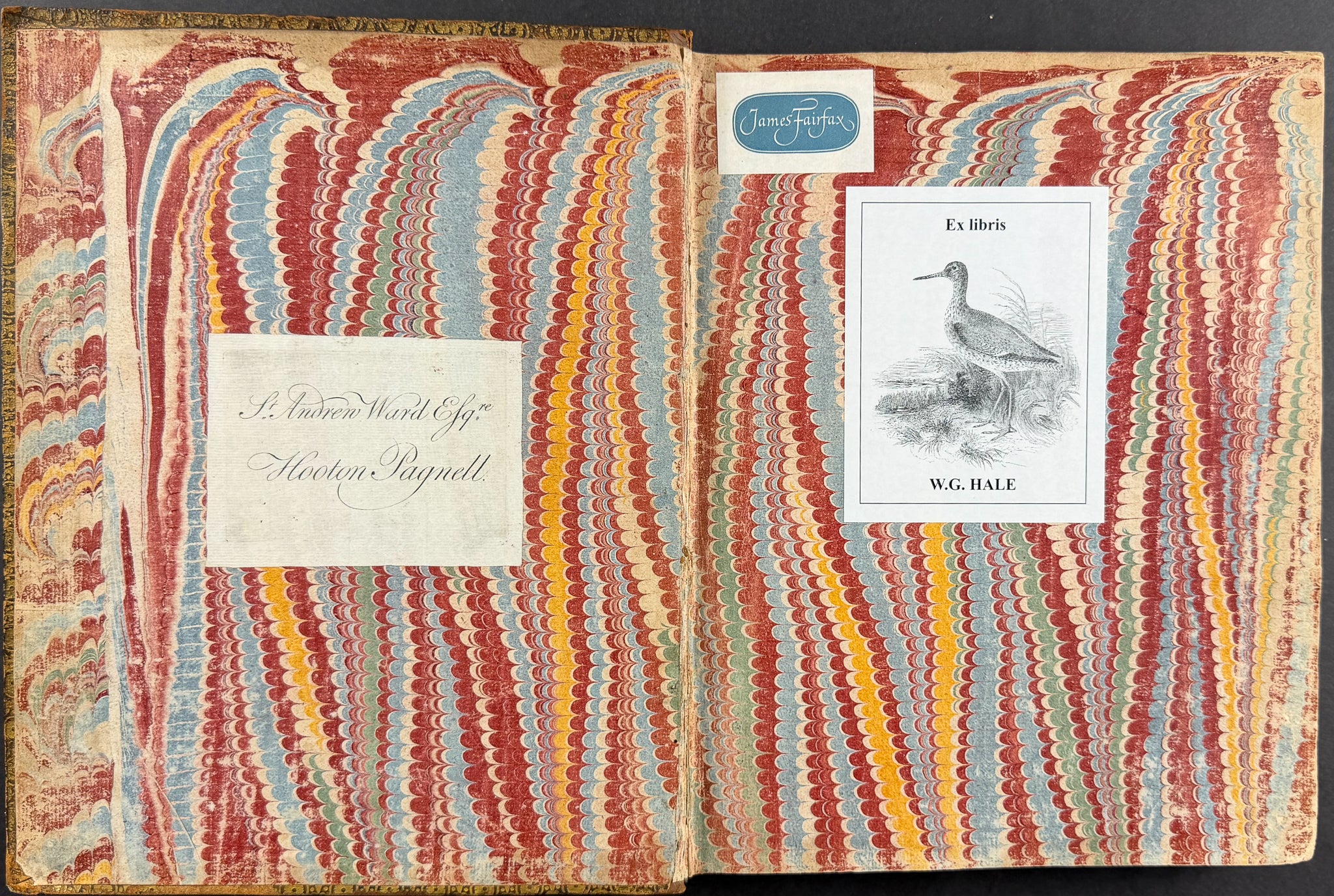 Natural History of Birds