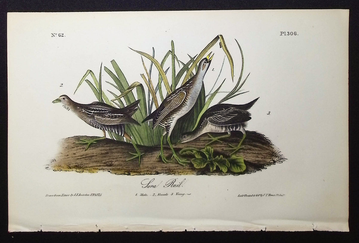 Sora Rail