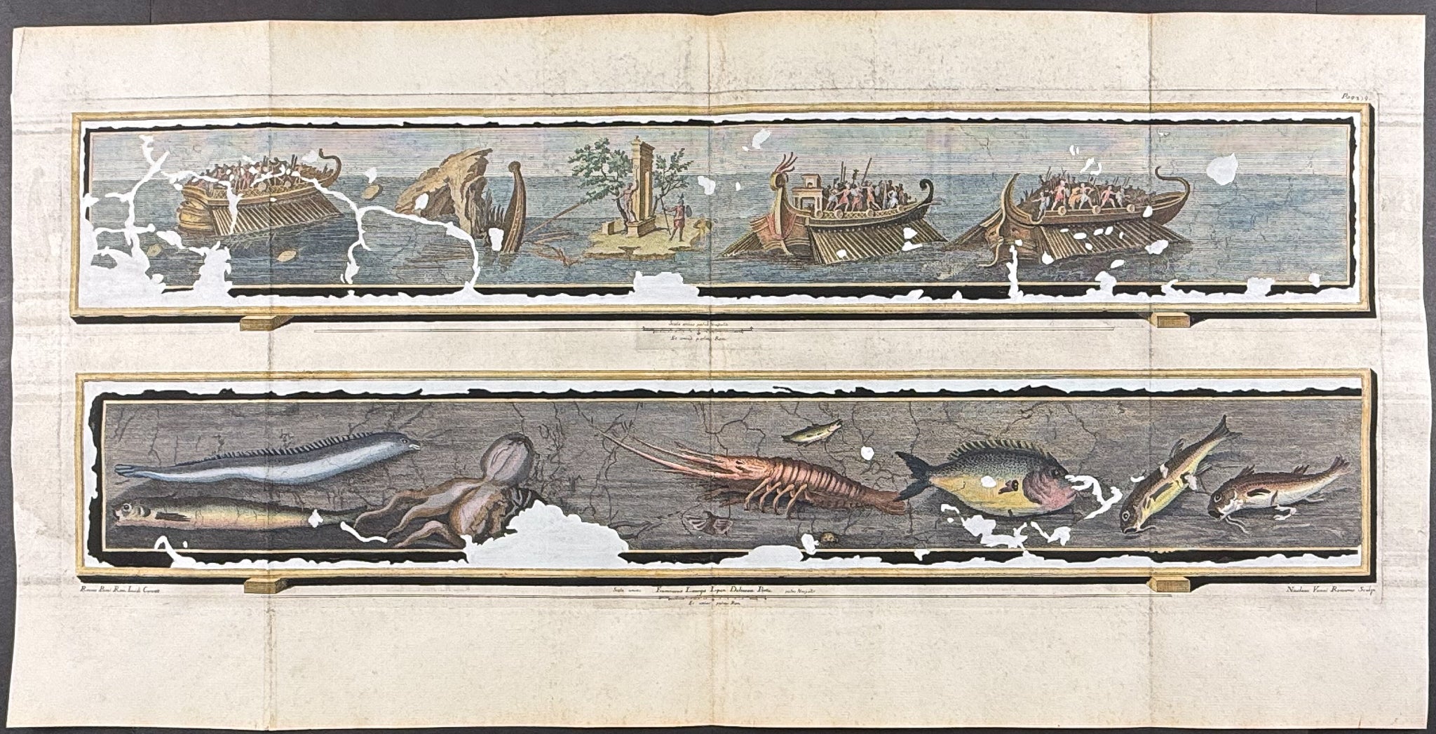 Ships & Sea Life
