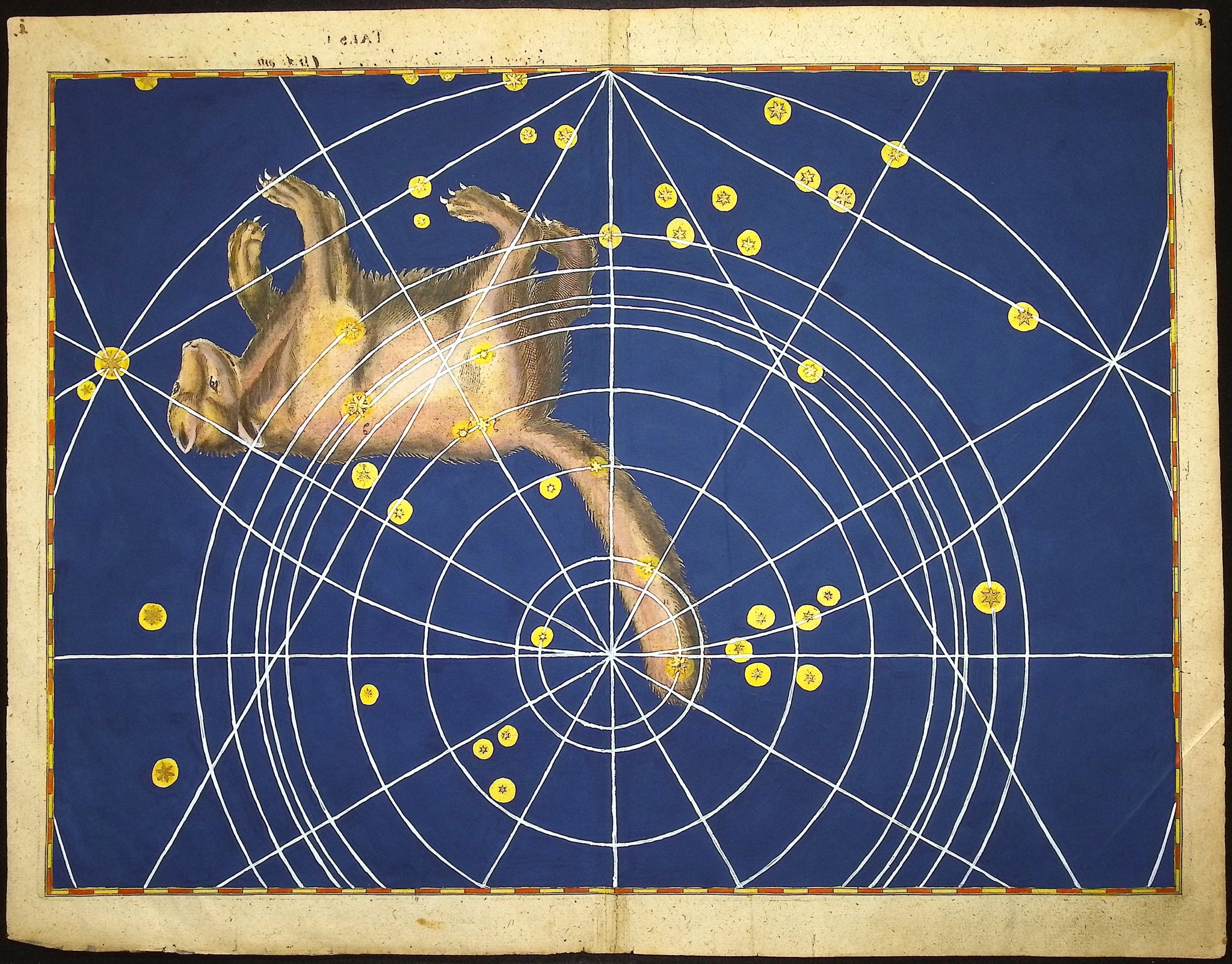 Constellation or Star Chart of Ursa Minor, Small Bear