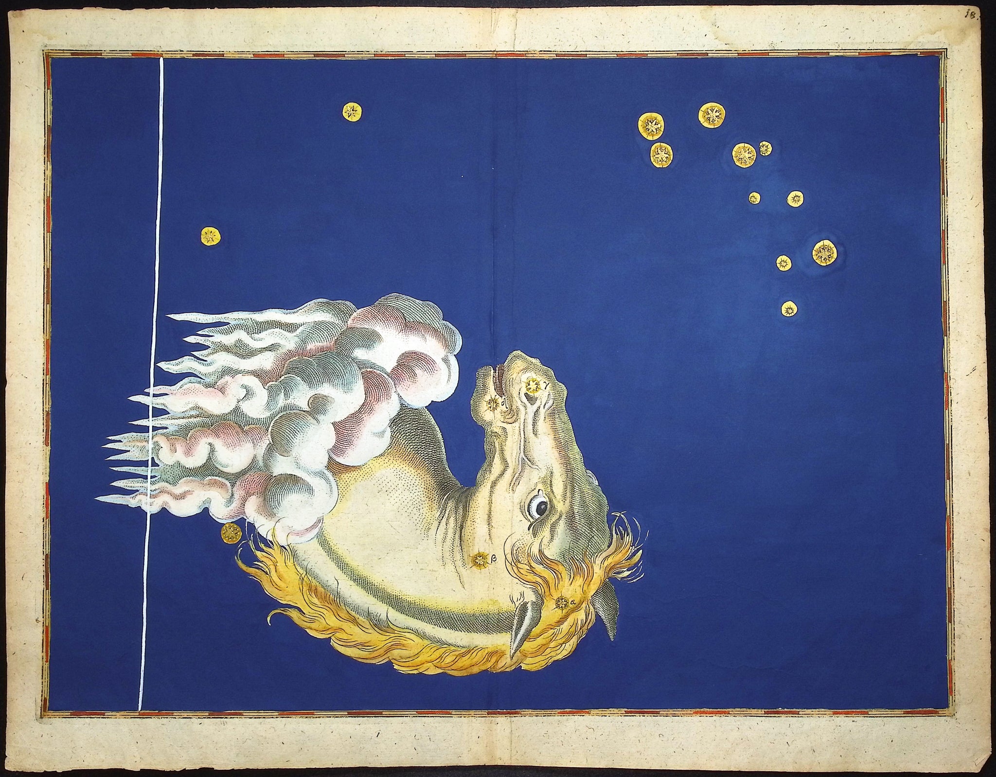 Constellation or Star Chart of Equuleus, Horse Head