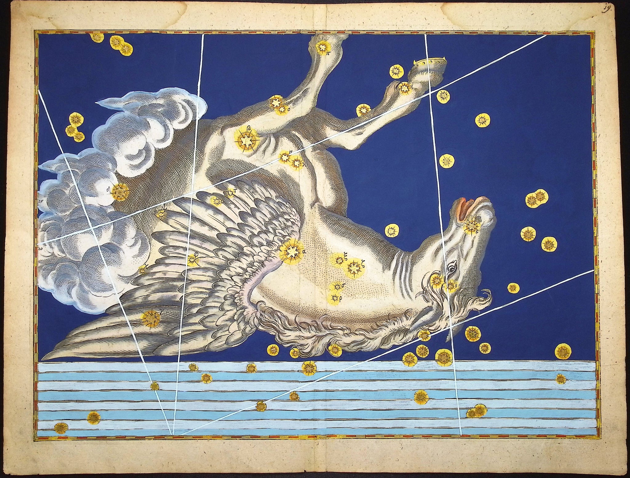 Constellation or Star Chart of Pegasus, the Winged Horse