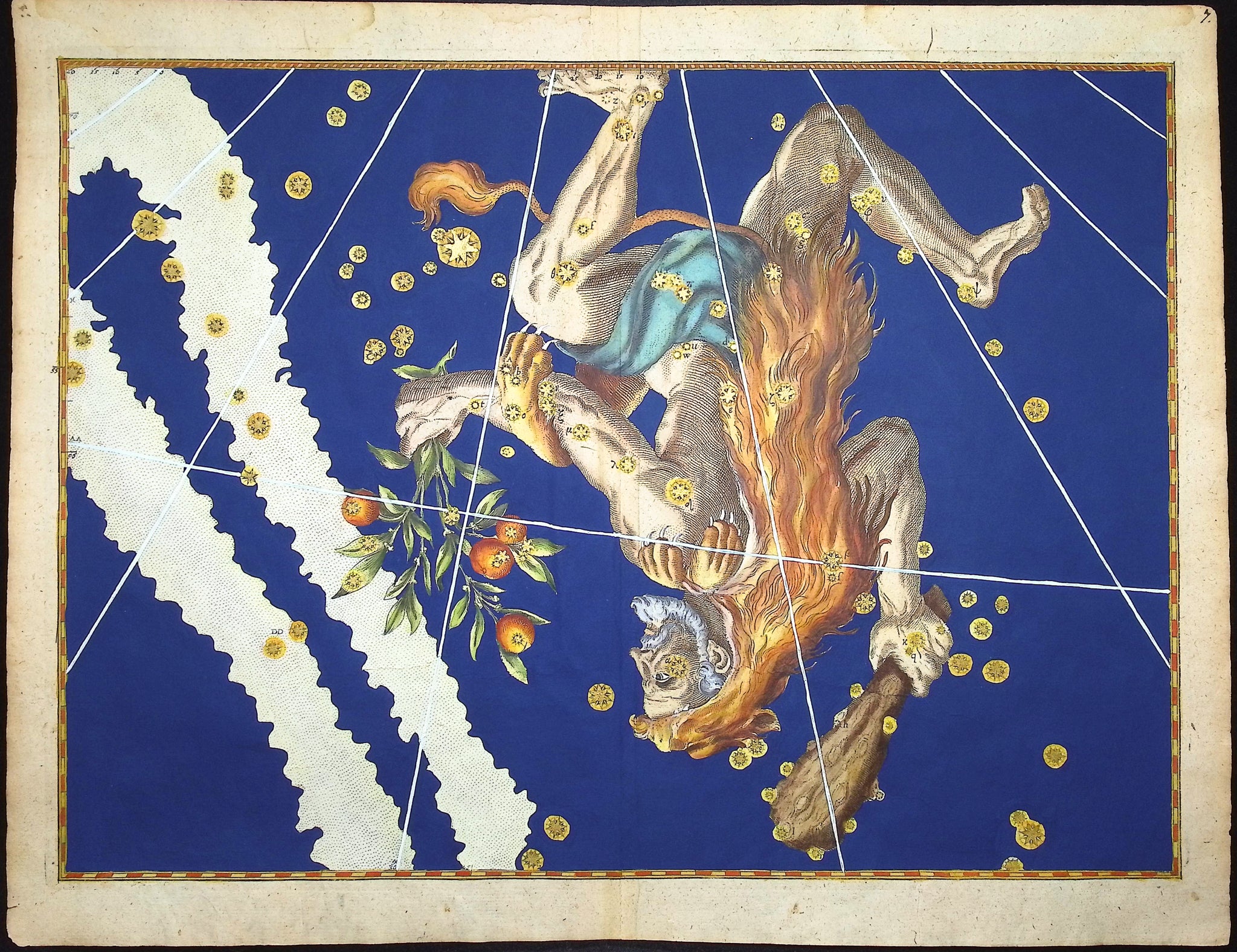 Constellation or Star Chart of Hercules, Man with Club and Bouquet