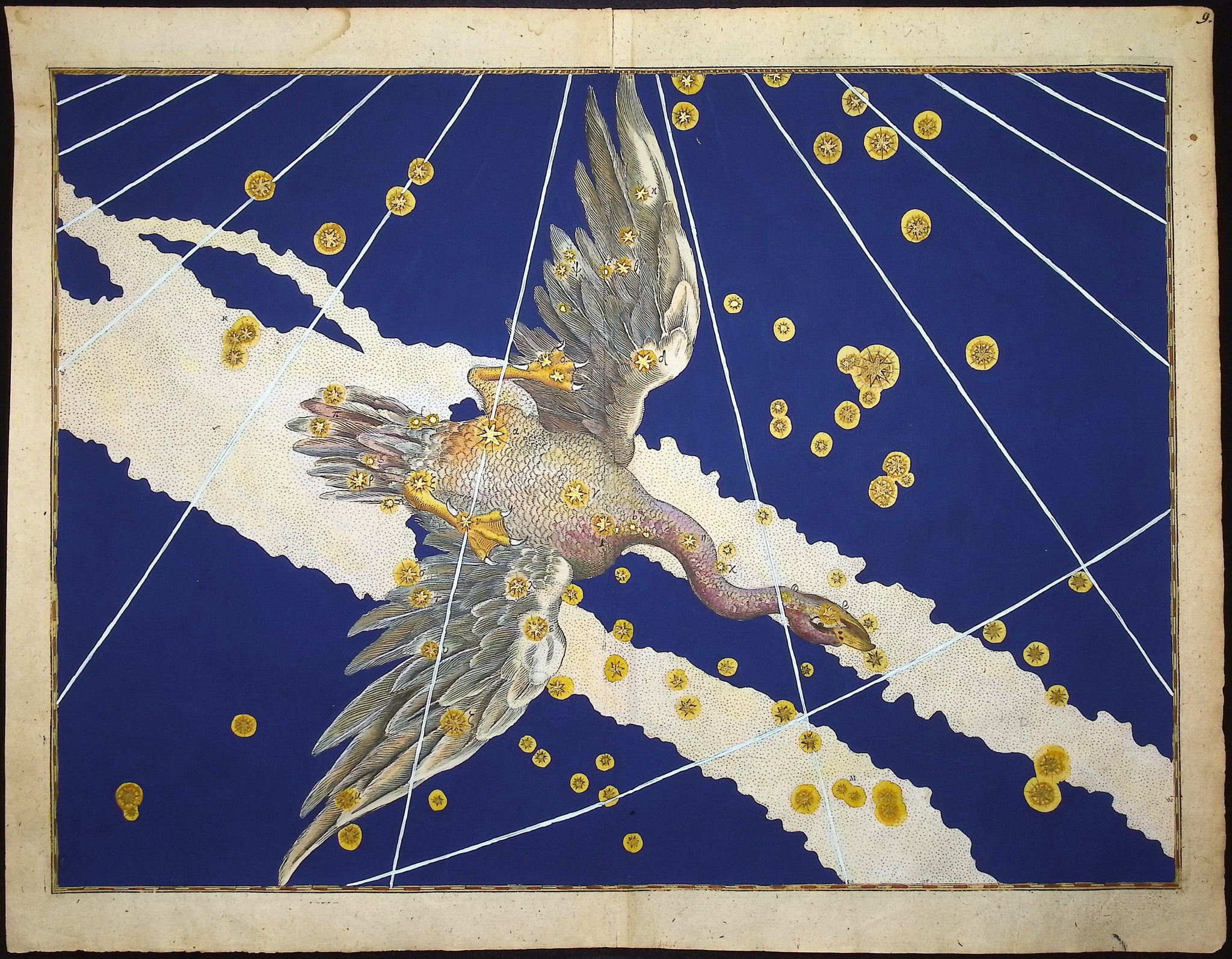 Constellation or Star Chart of Cygnus, Goose