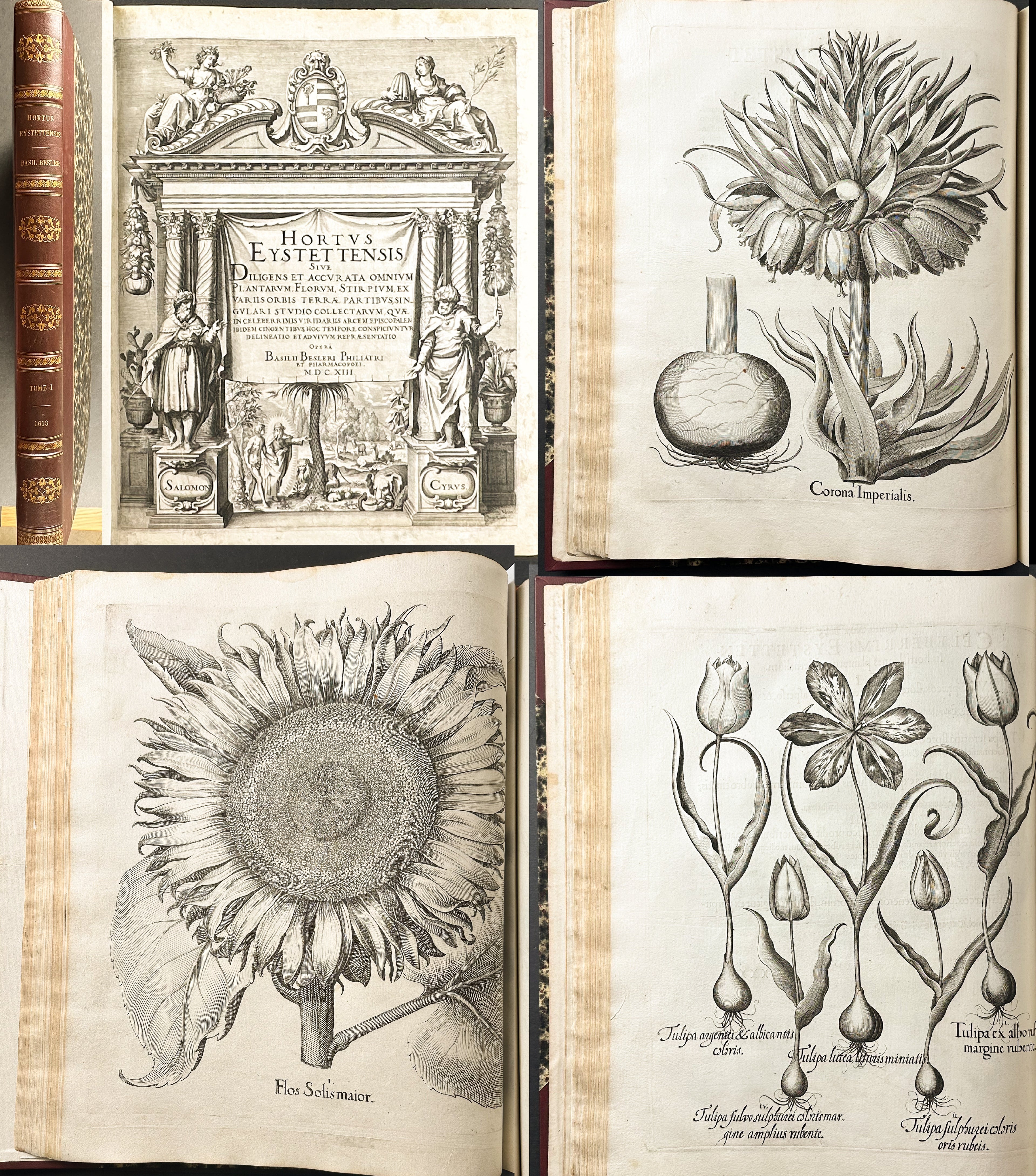 Hortus Eystettensis - Two Volumes with 366 engraved plates