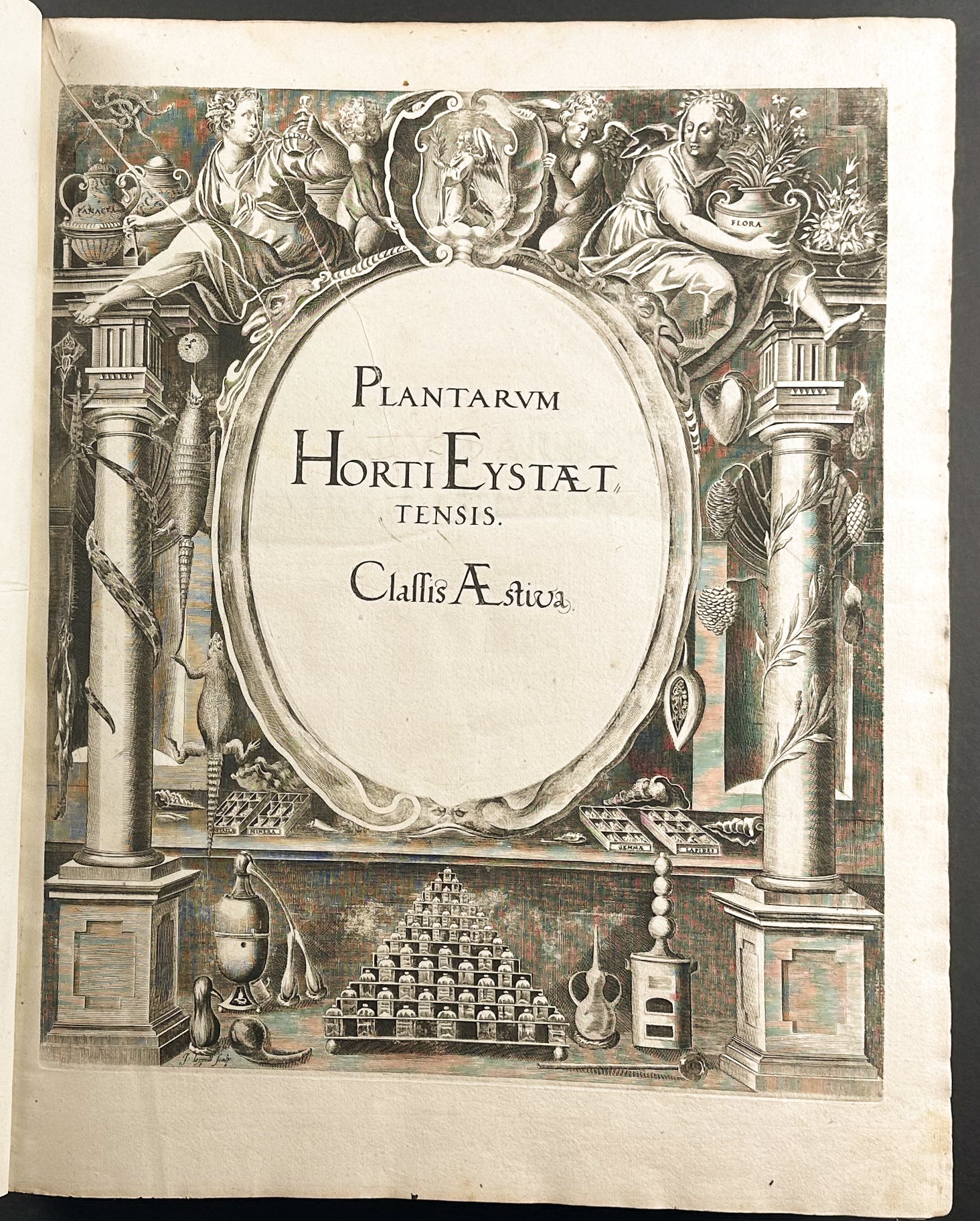 Hortus Eystettensis