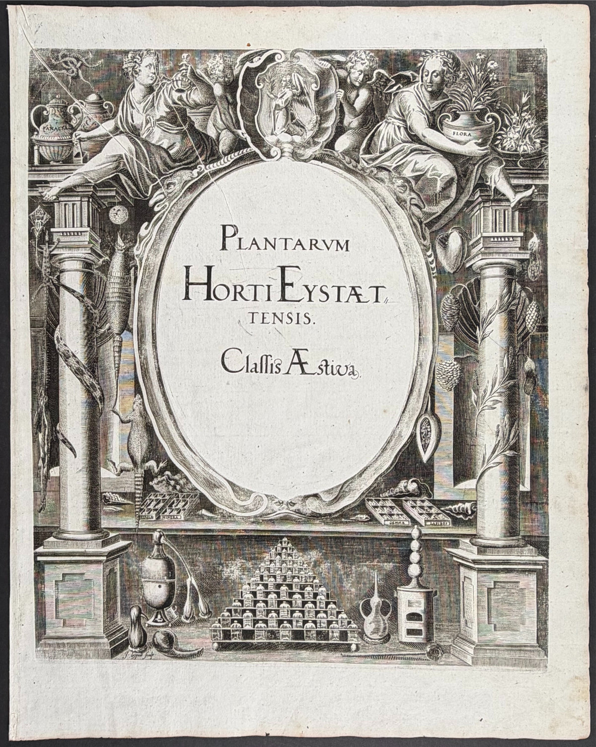 Summer Frontispiece