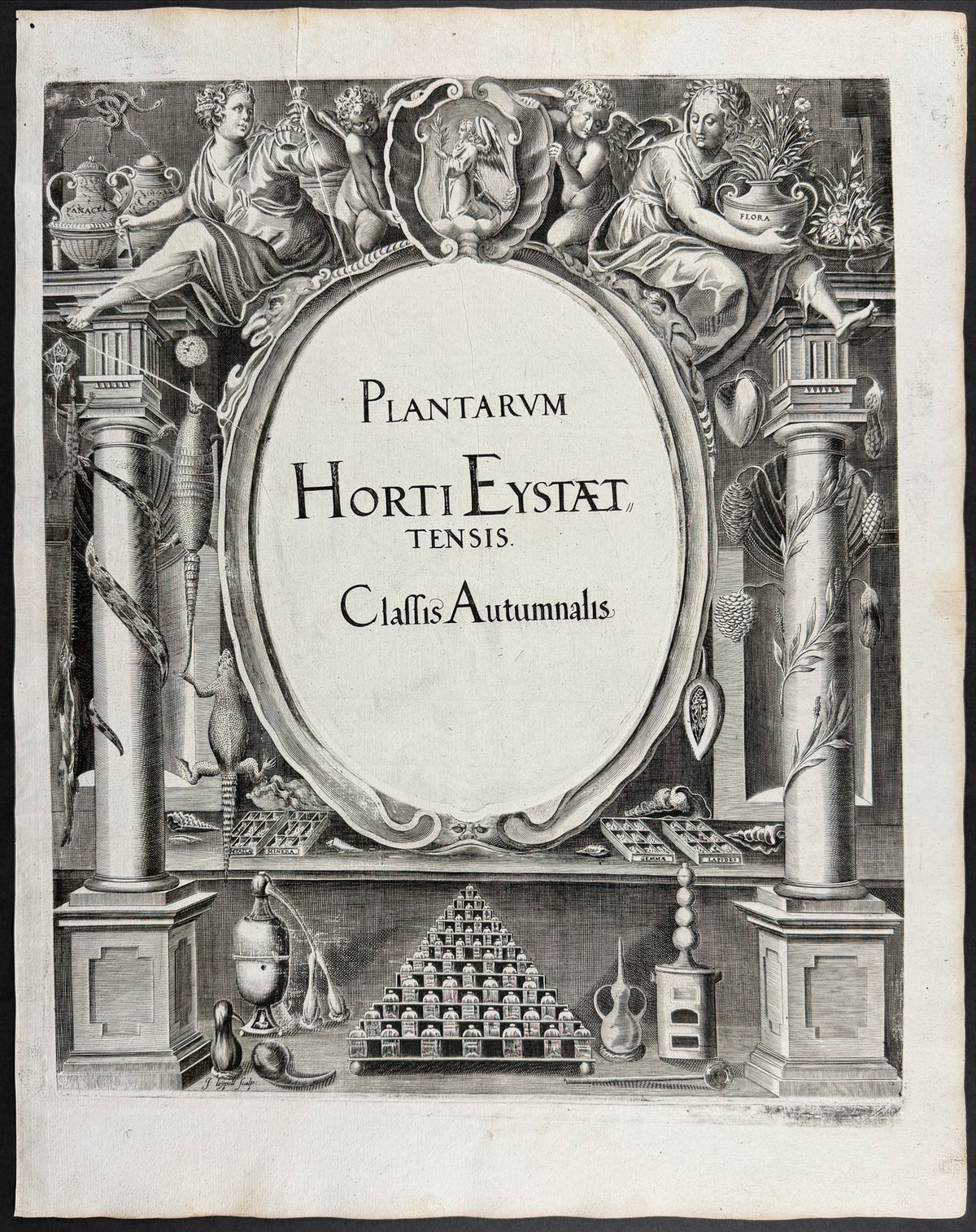 Autumn Frontispiece