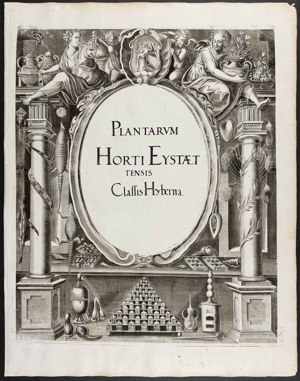 Winter Frontispiece