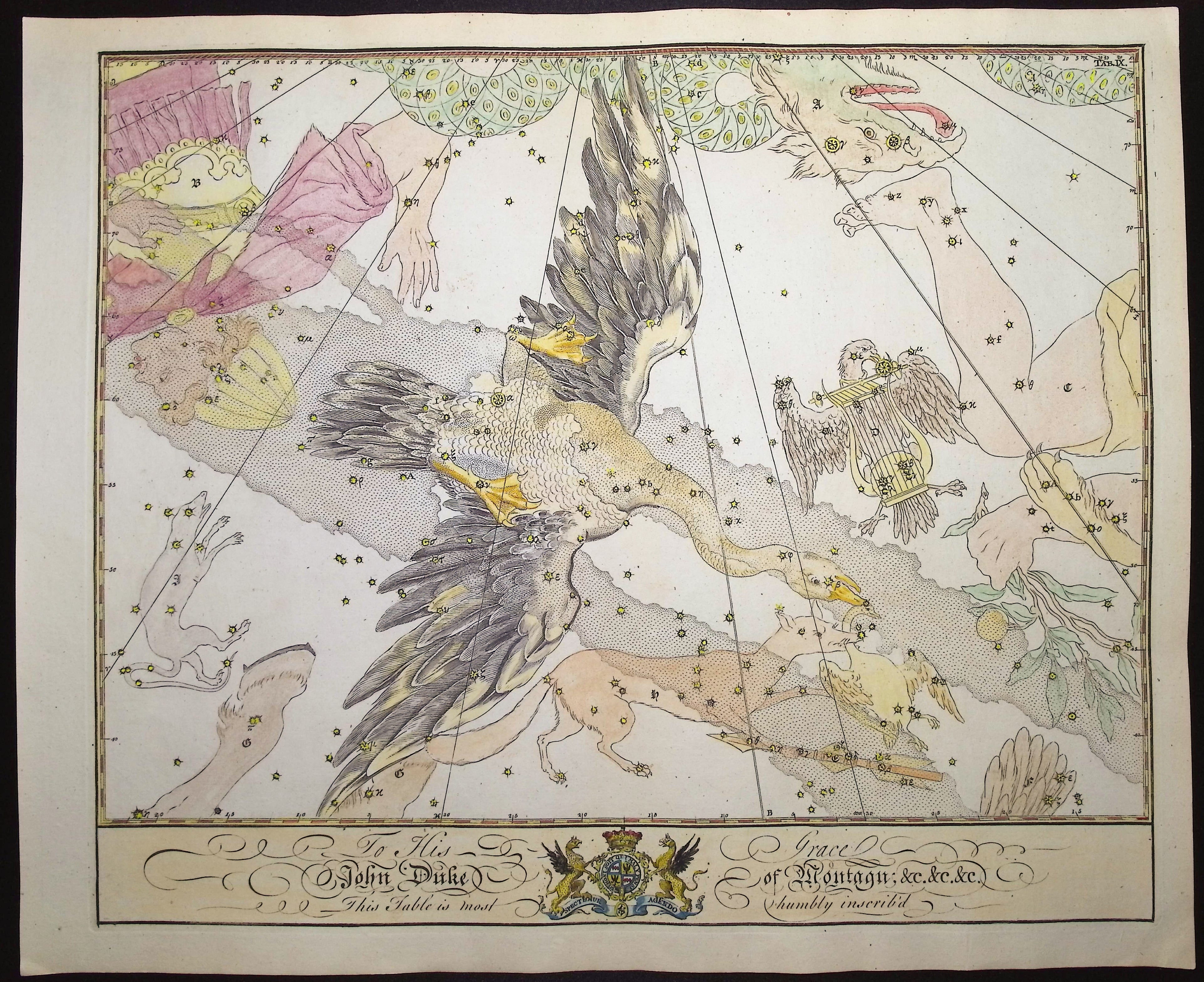 Constellation or Star Chart of Cygnus (Swan)