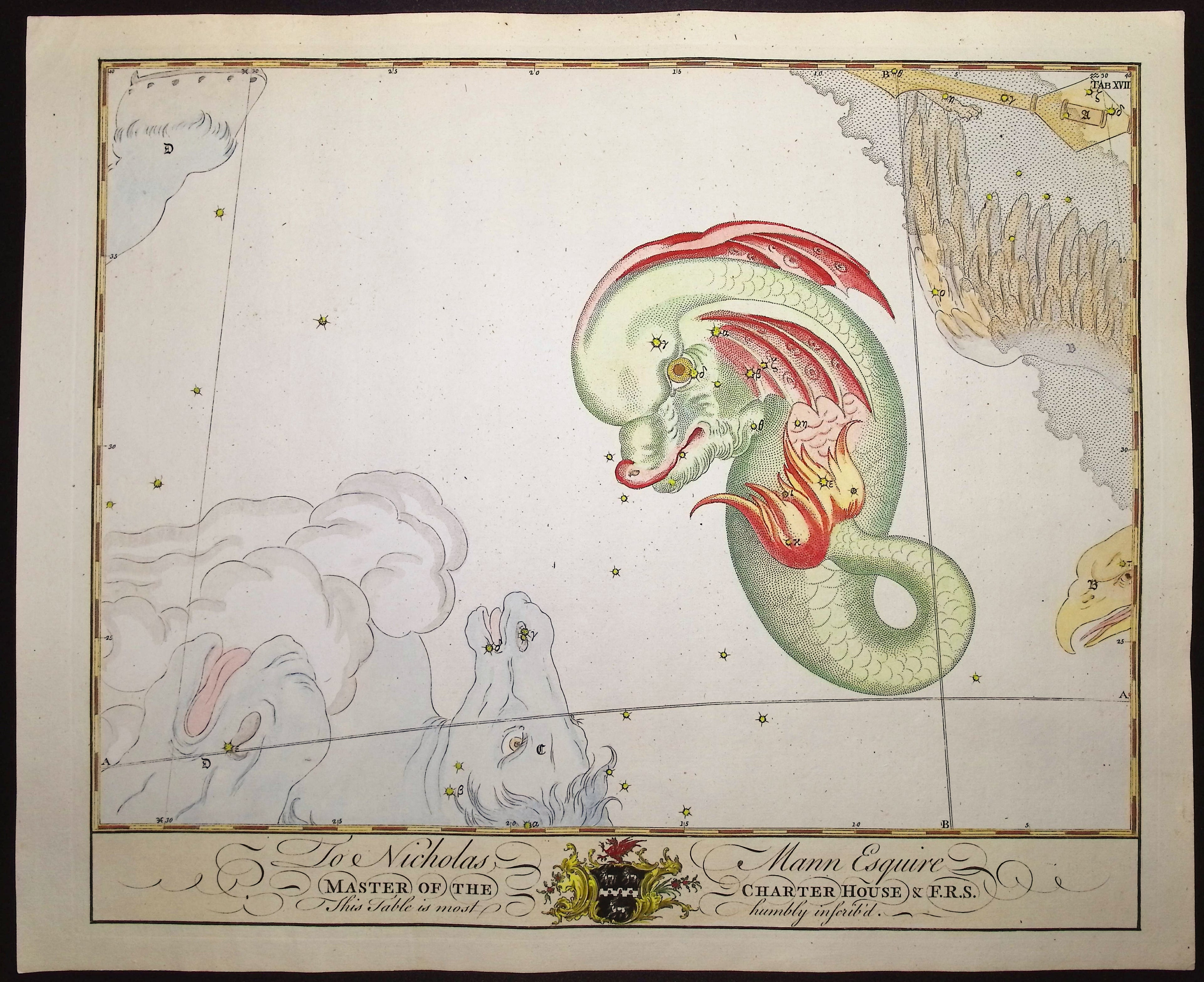 Constellation or Star Chart of Delphinus (Dolphin)