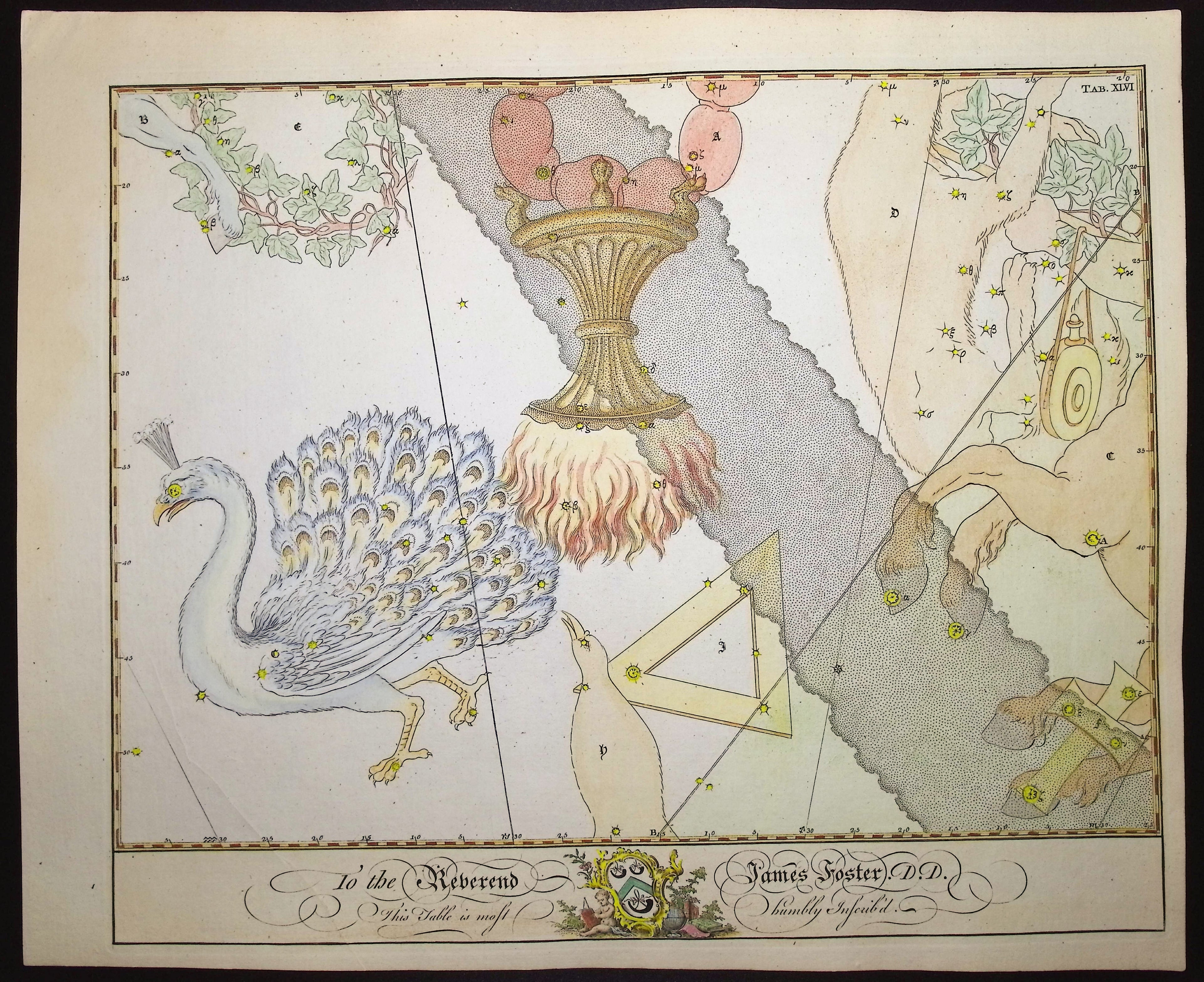 Constellation or Star Chart of Pavo (Peacock), Ara (Altar), and Triangulum Australe (Southern Triangle)