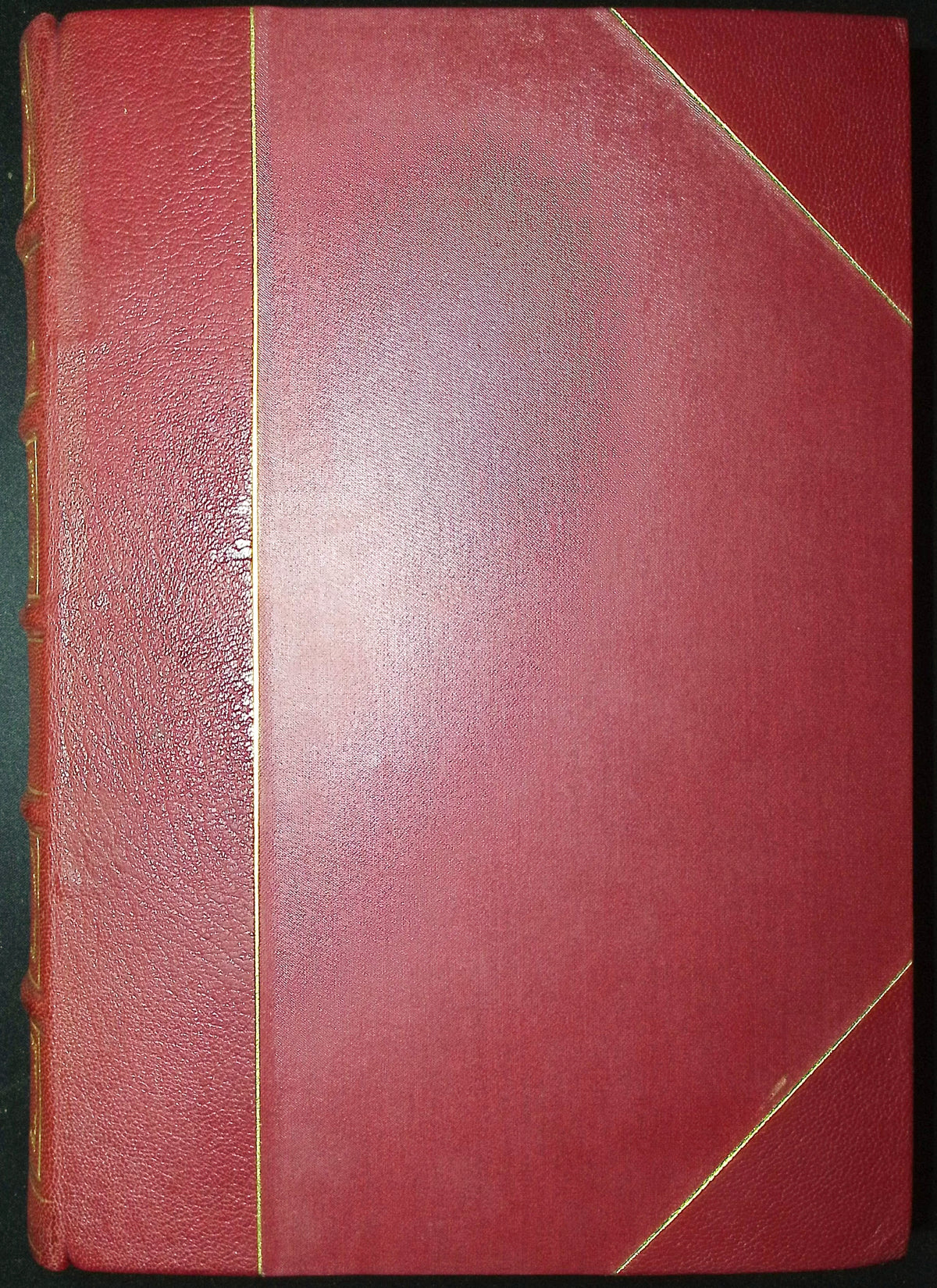 Brabourne, Chubb, & Gronveld's Birds of South America