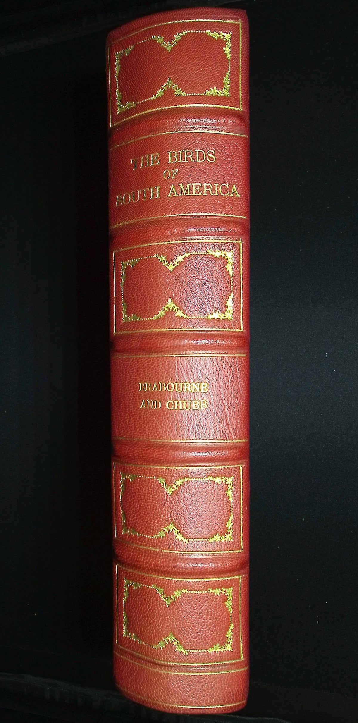 Brabourne, Chubb, & Gronveld's Birds of South America