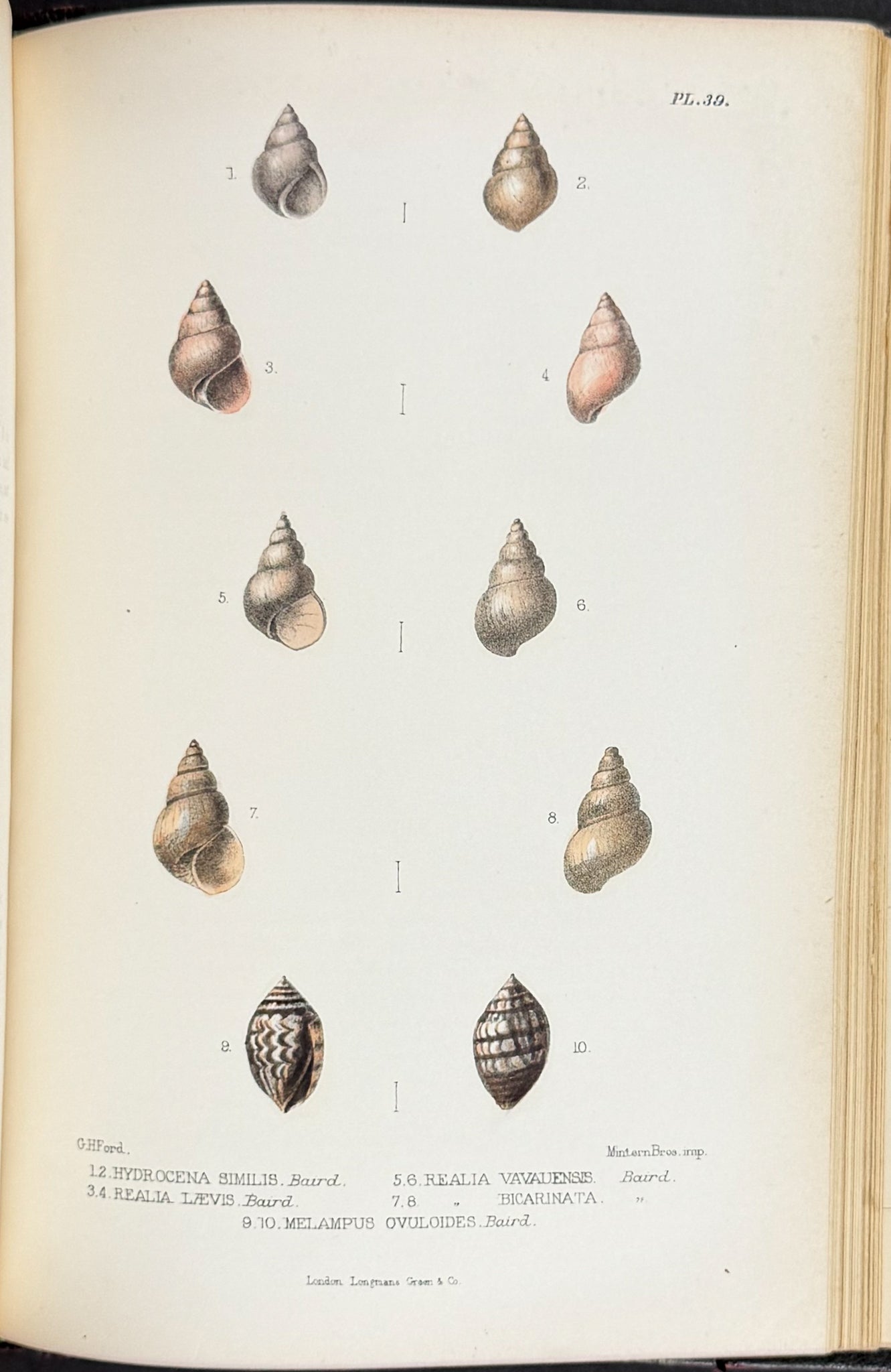 South Sea Islands in 1880