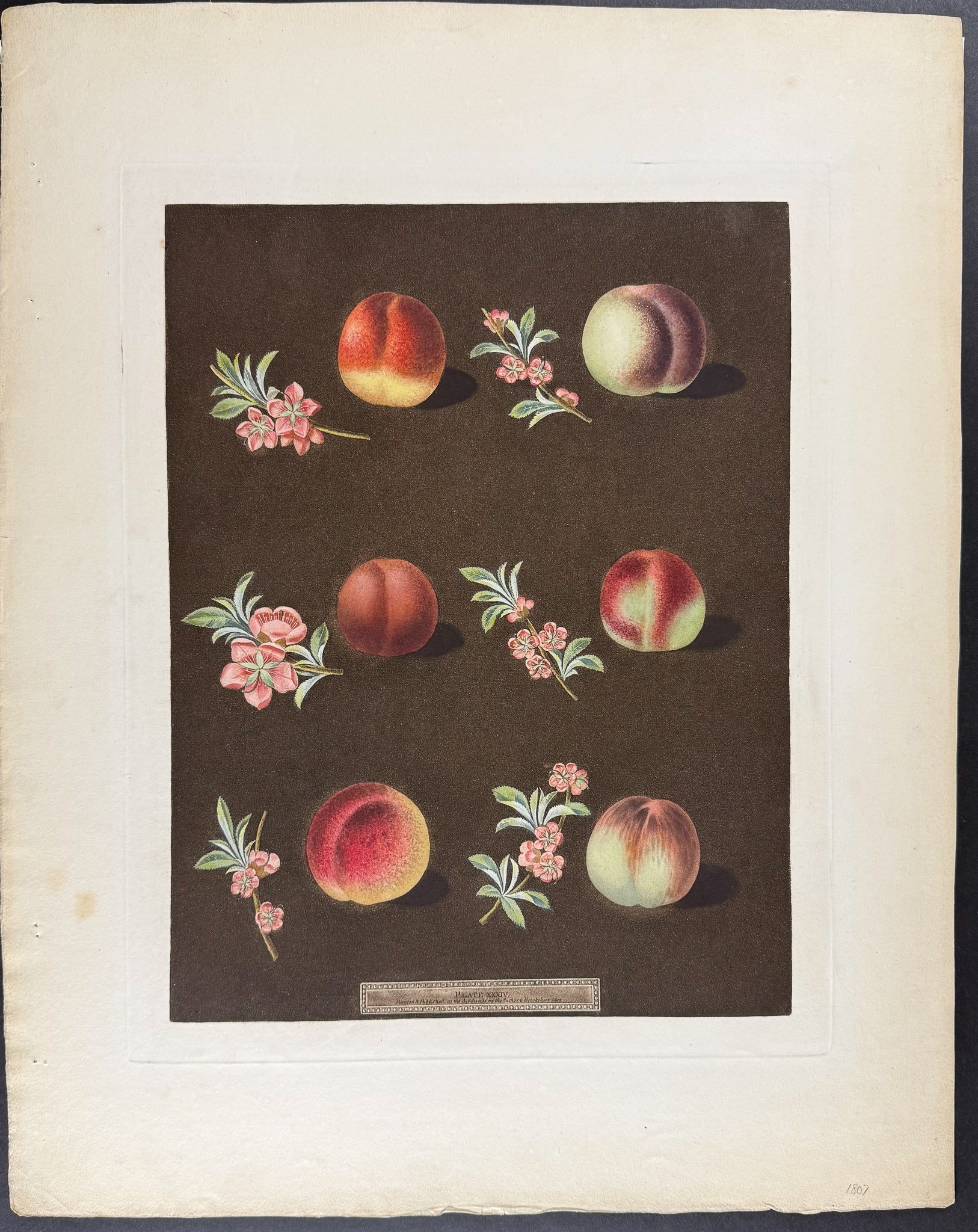 Peaches