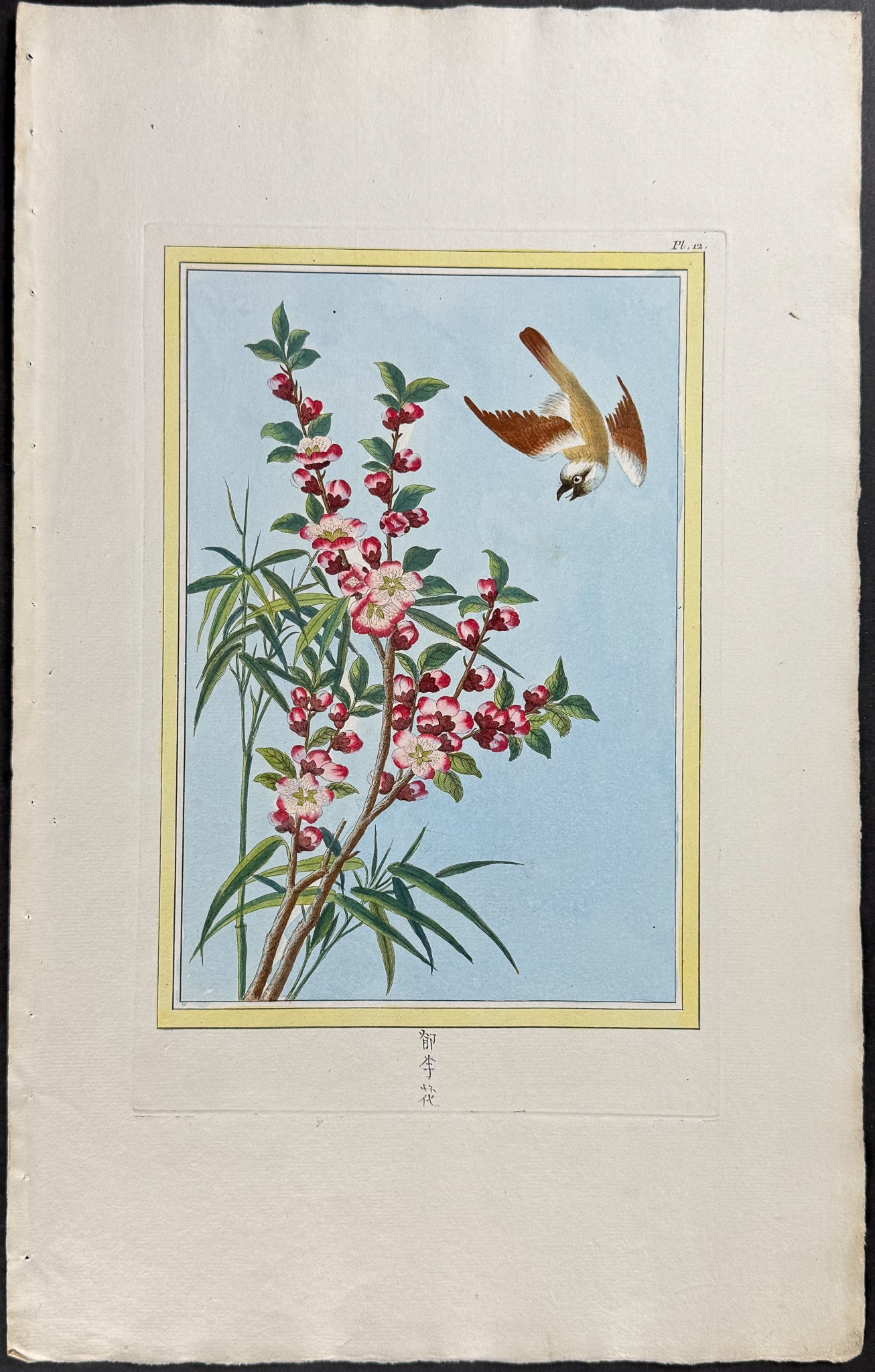 Peach Blossom & Bird