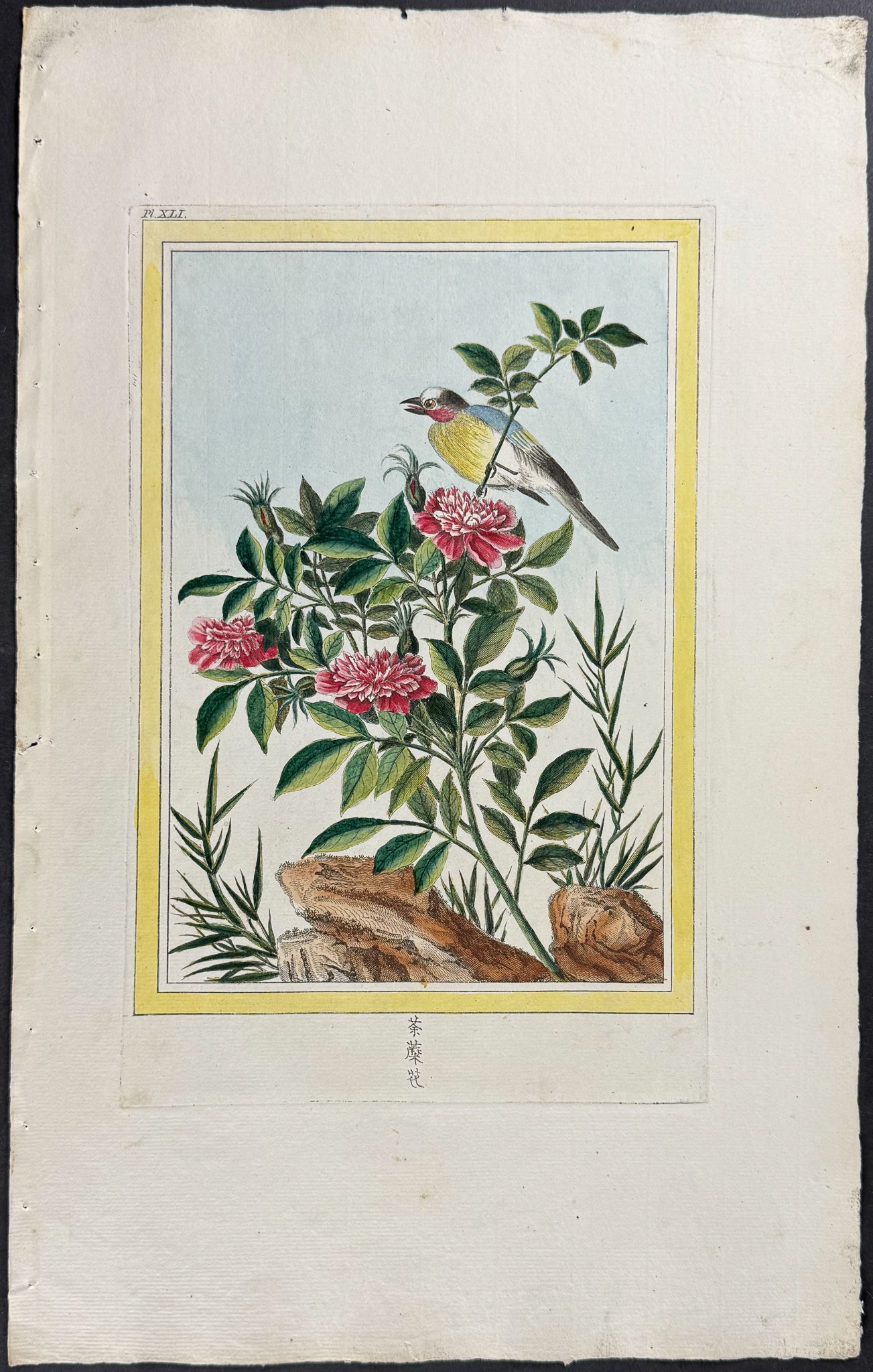 Hibiscus & Bird
