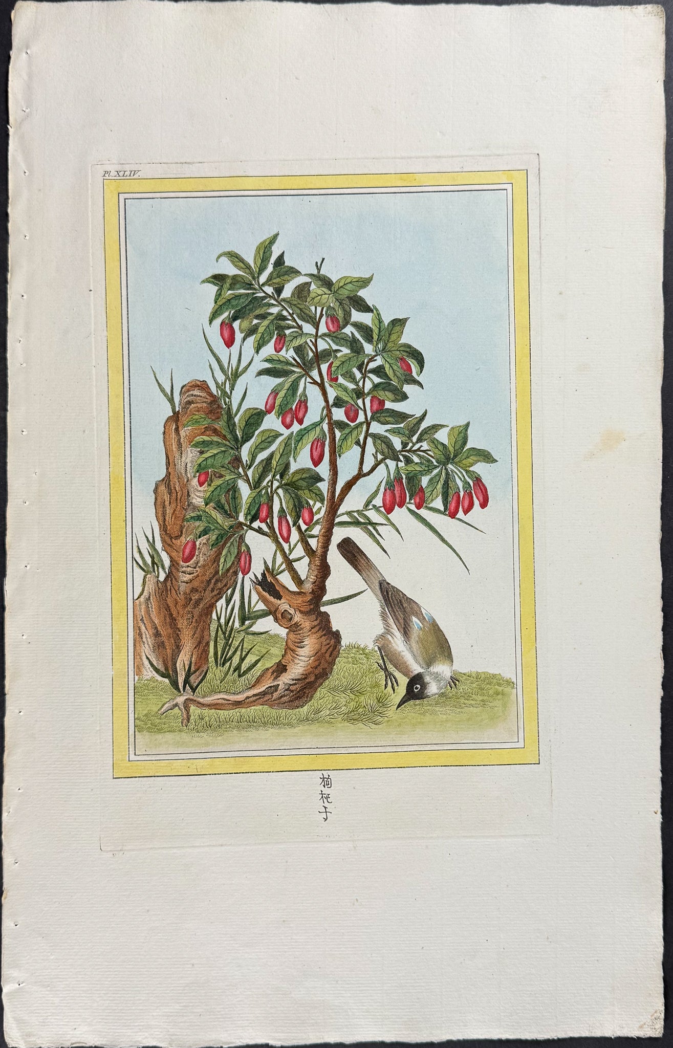 Pepper Tree & Bird