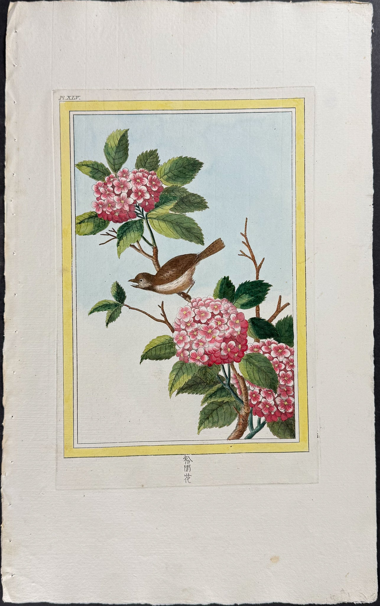 Snowball Tree & Bird