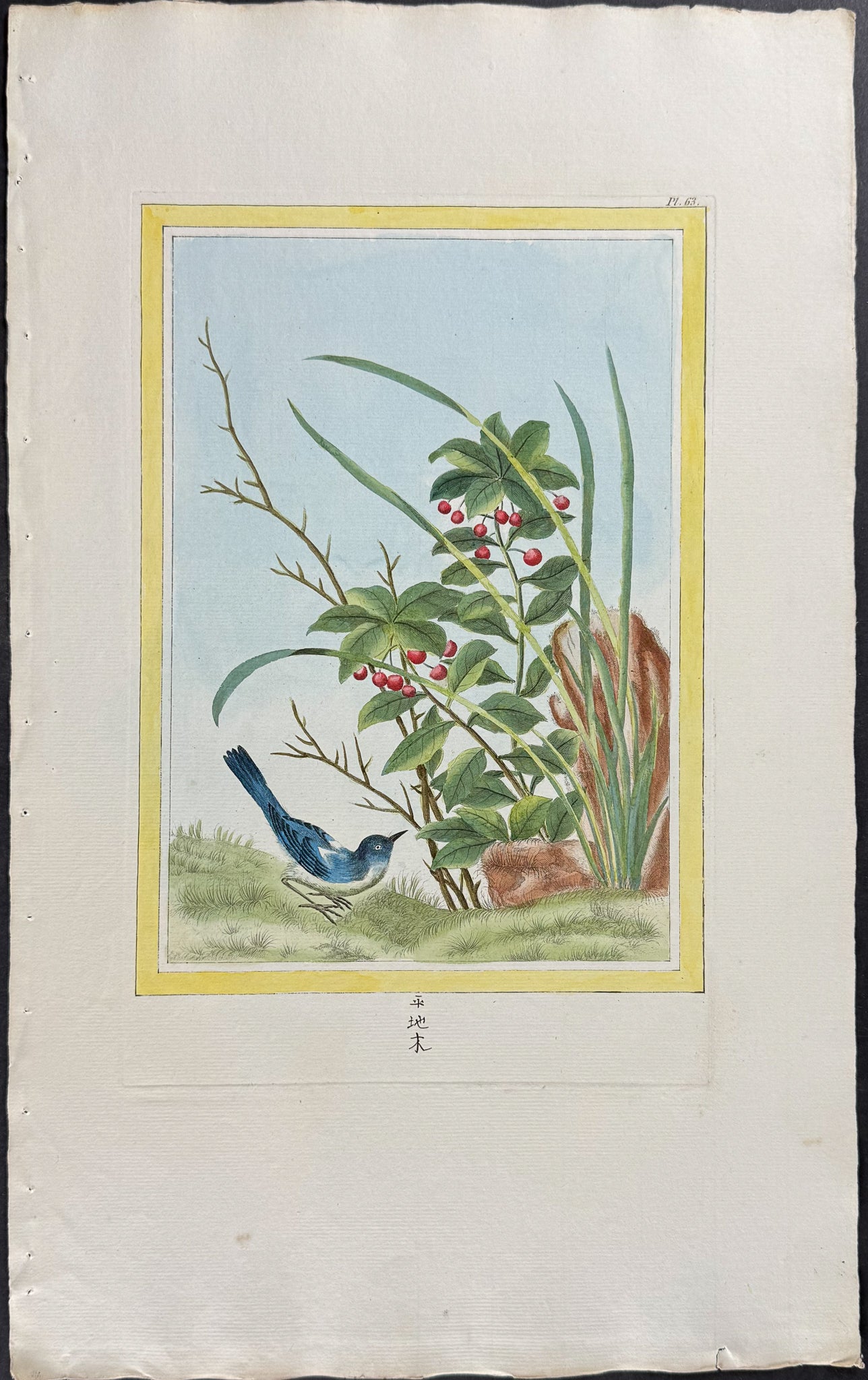 Marlberry & Bird
