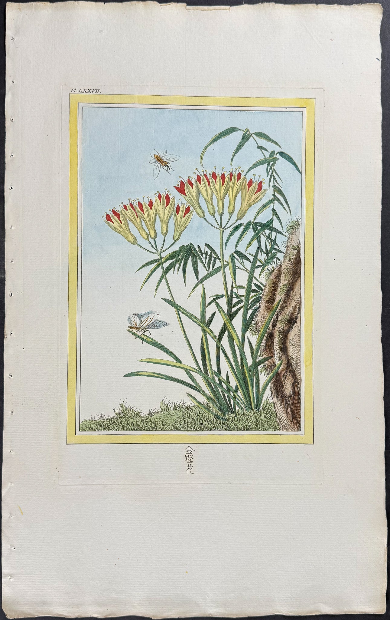 Botanical & Butterfly, Bee