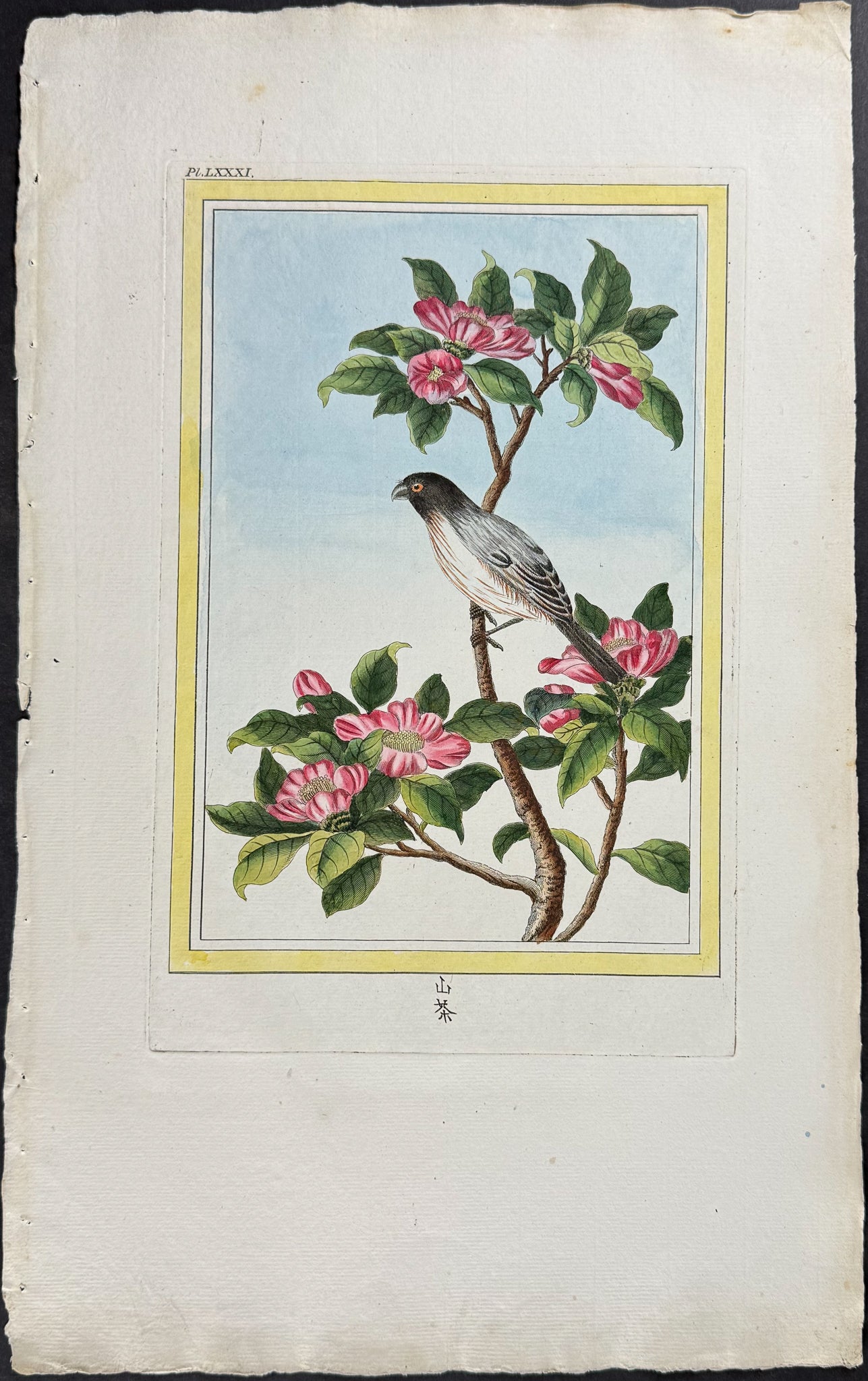Camellia & Bird