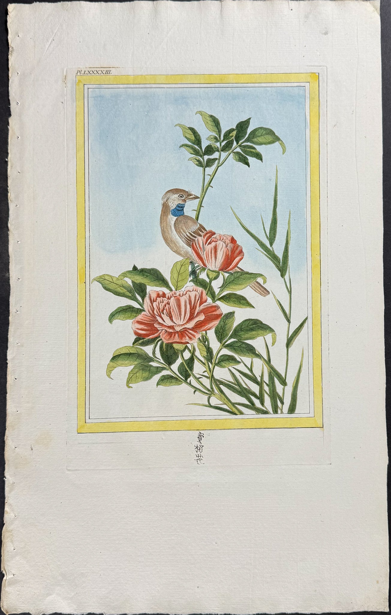 Saffron-flowered Rose & Bird