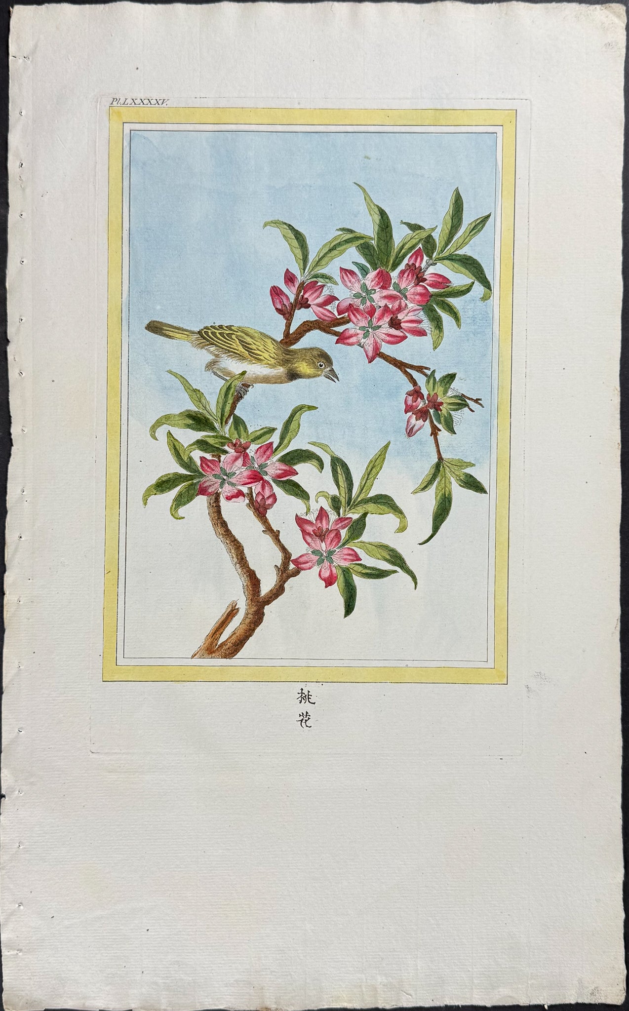 Peach Blossom & Bird