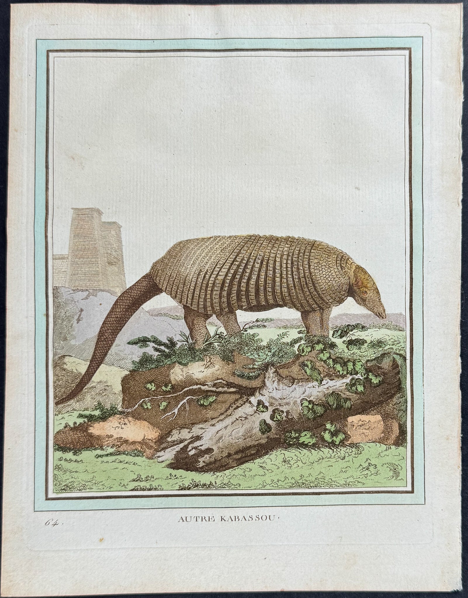 Armadillo