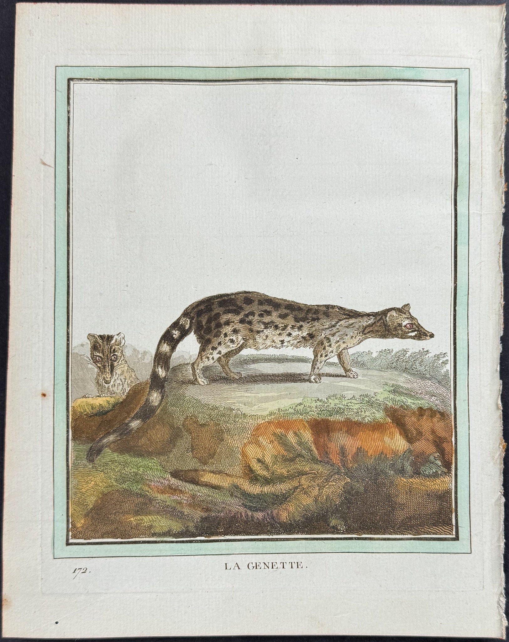 Genet