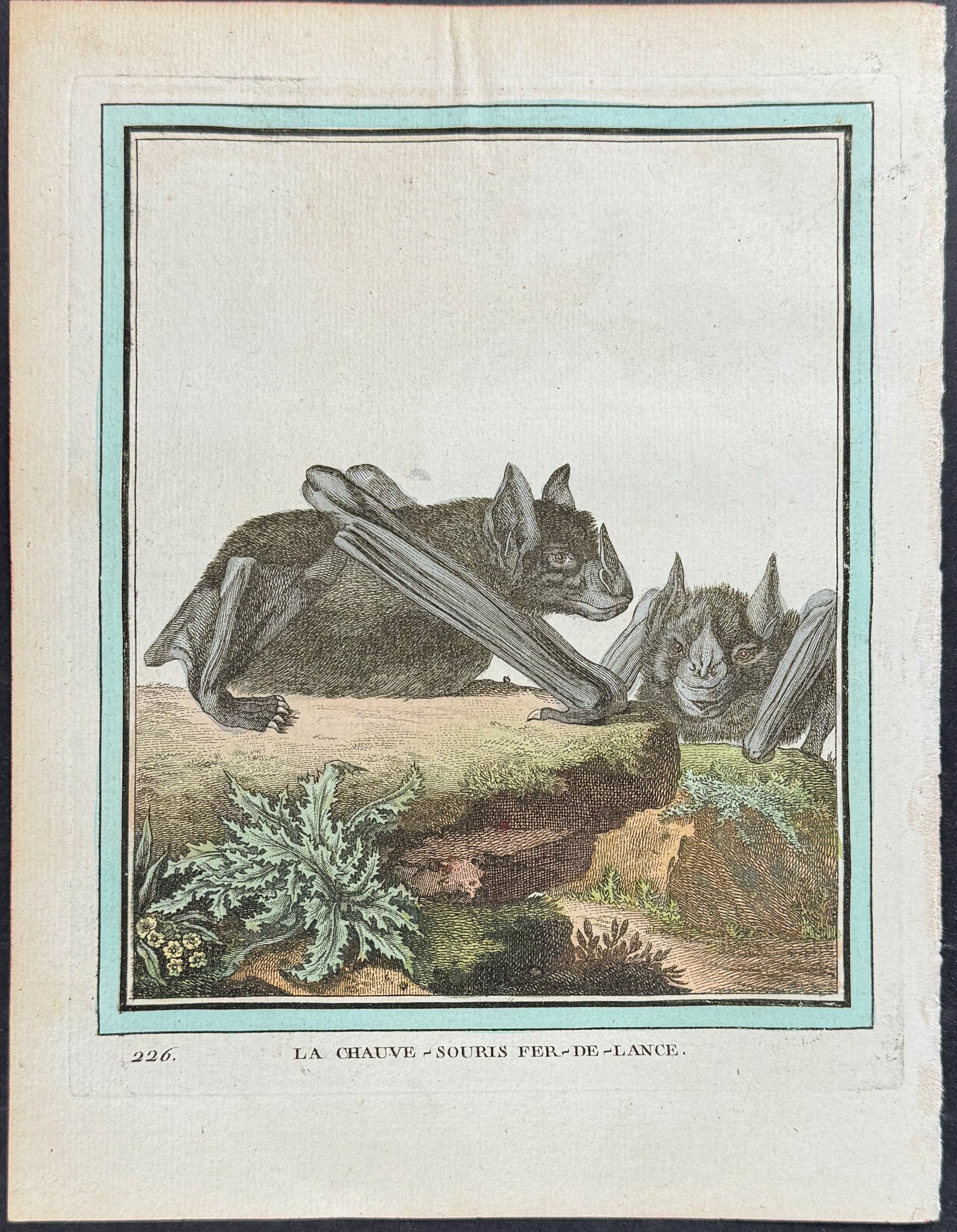Bat