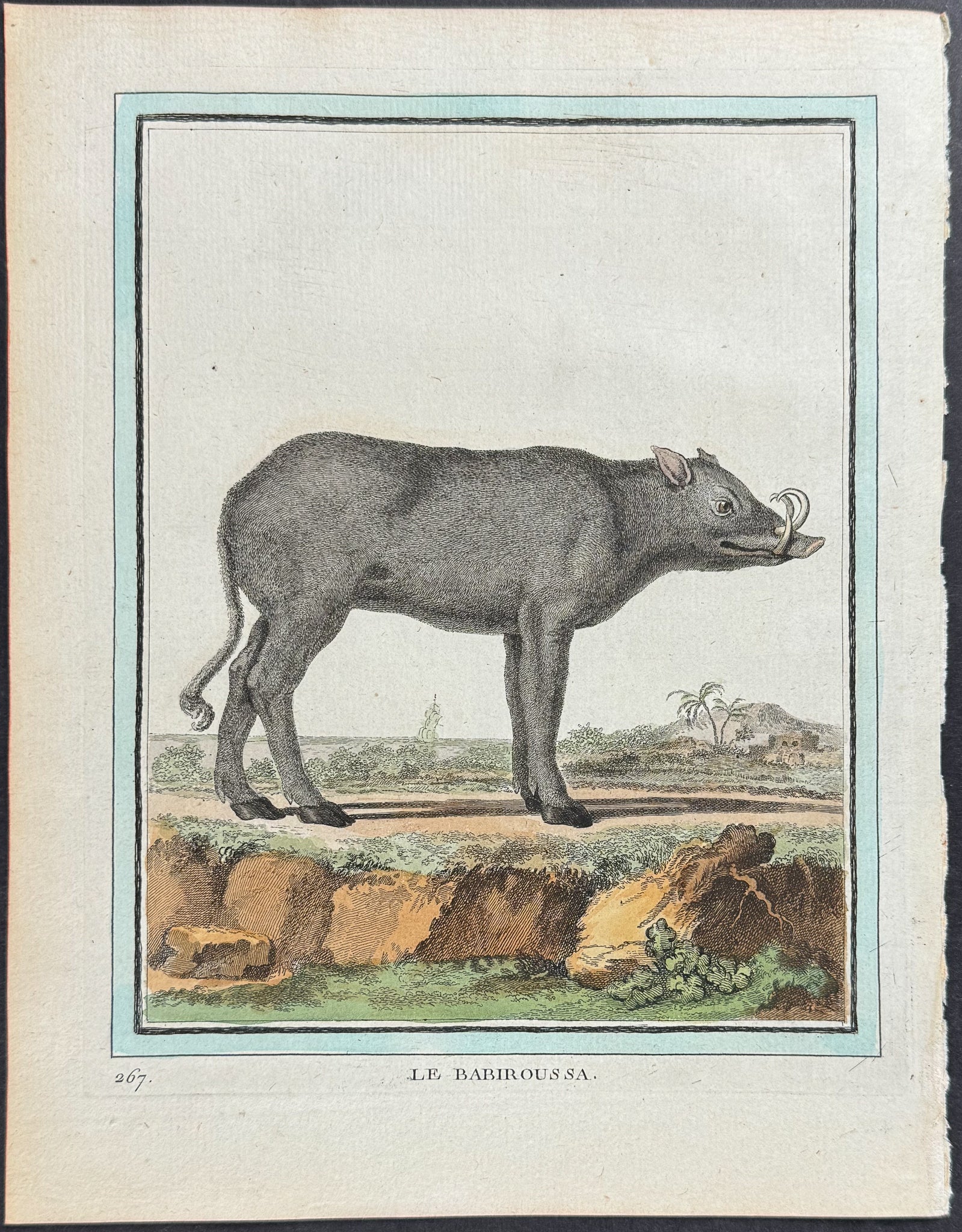 Deer-Pig