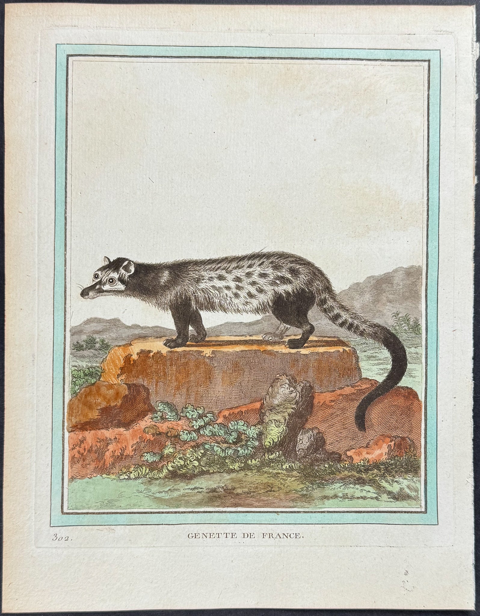 Genet