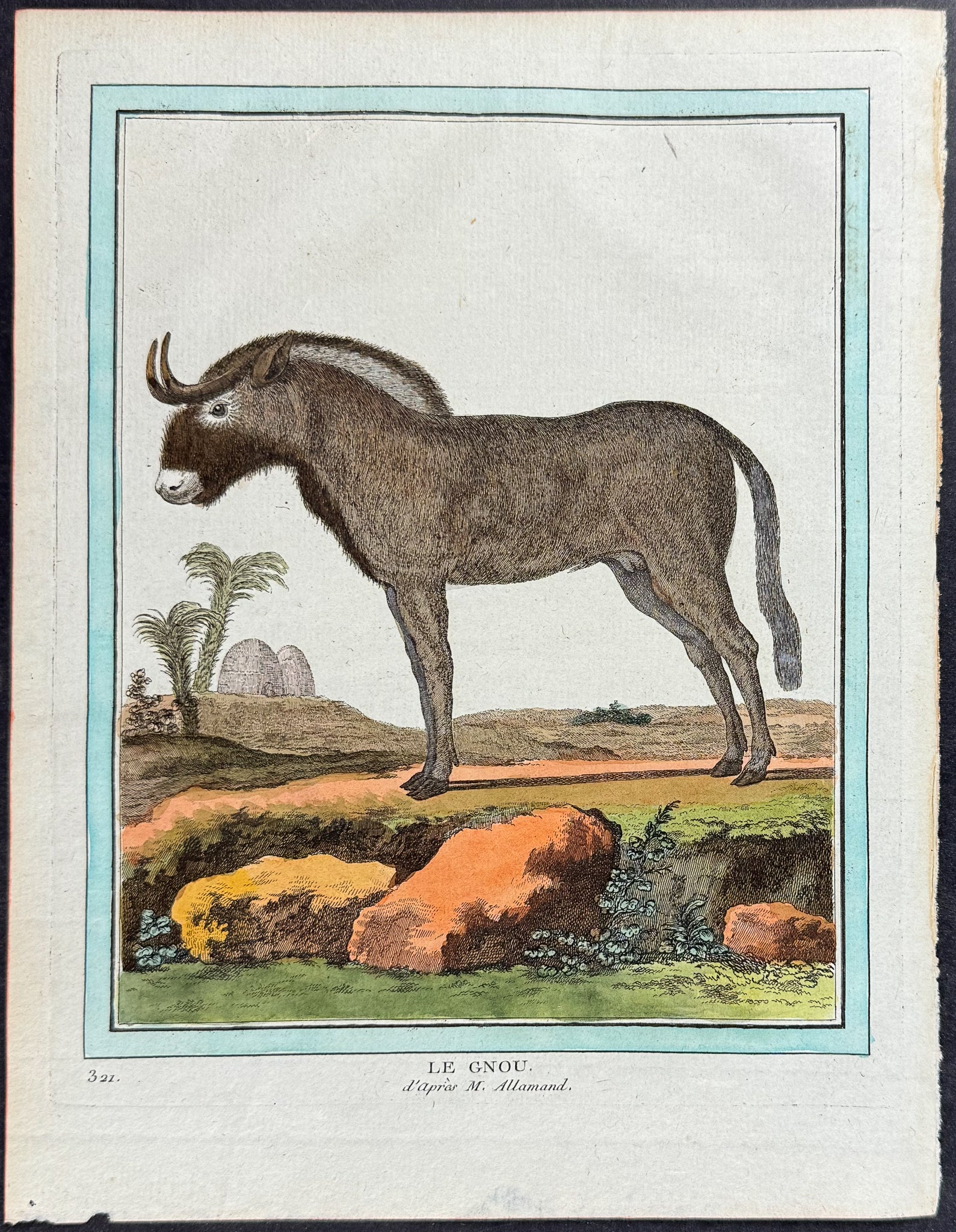 Gnou or Wildebeest