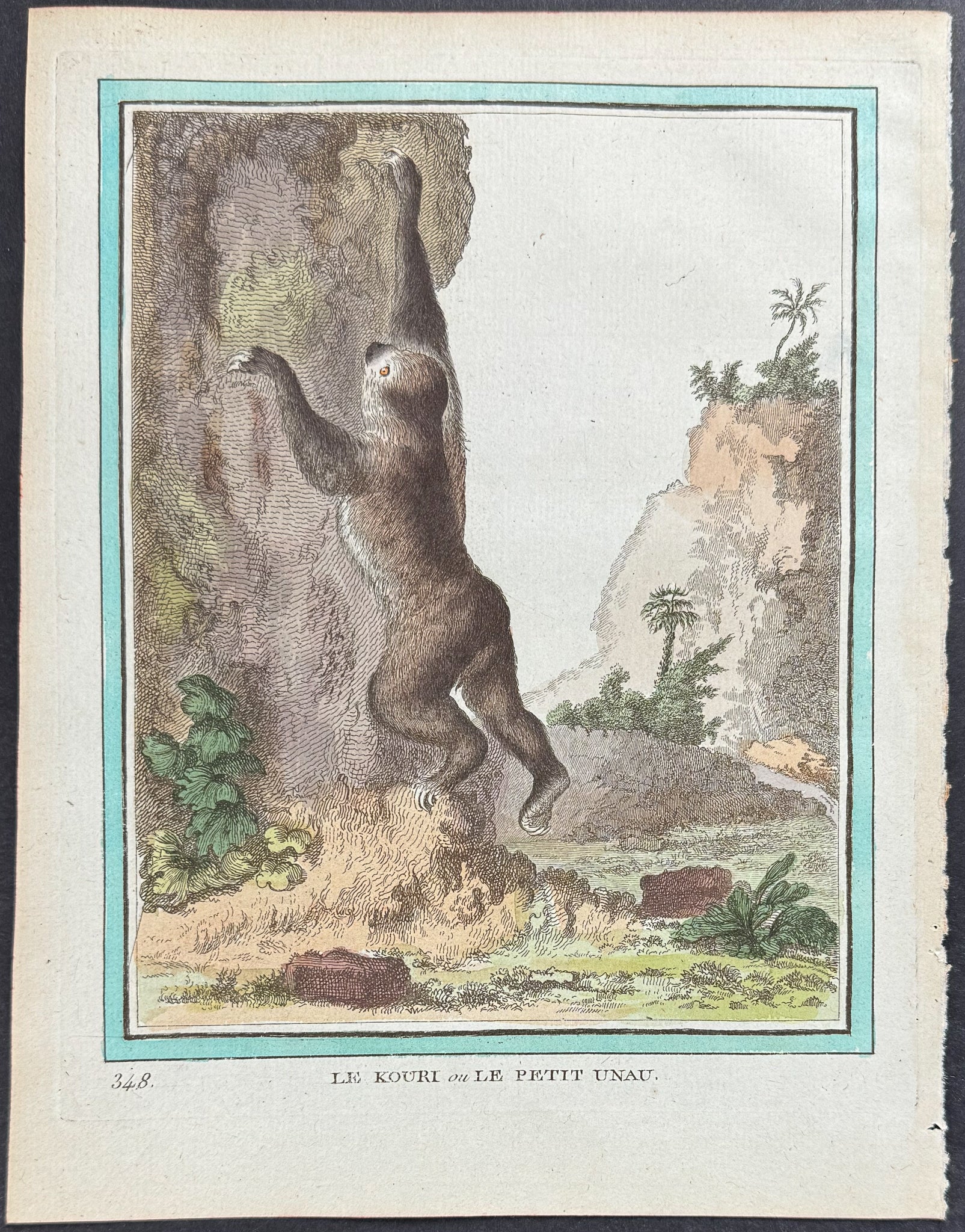 Sloth