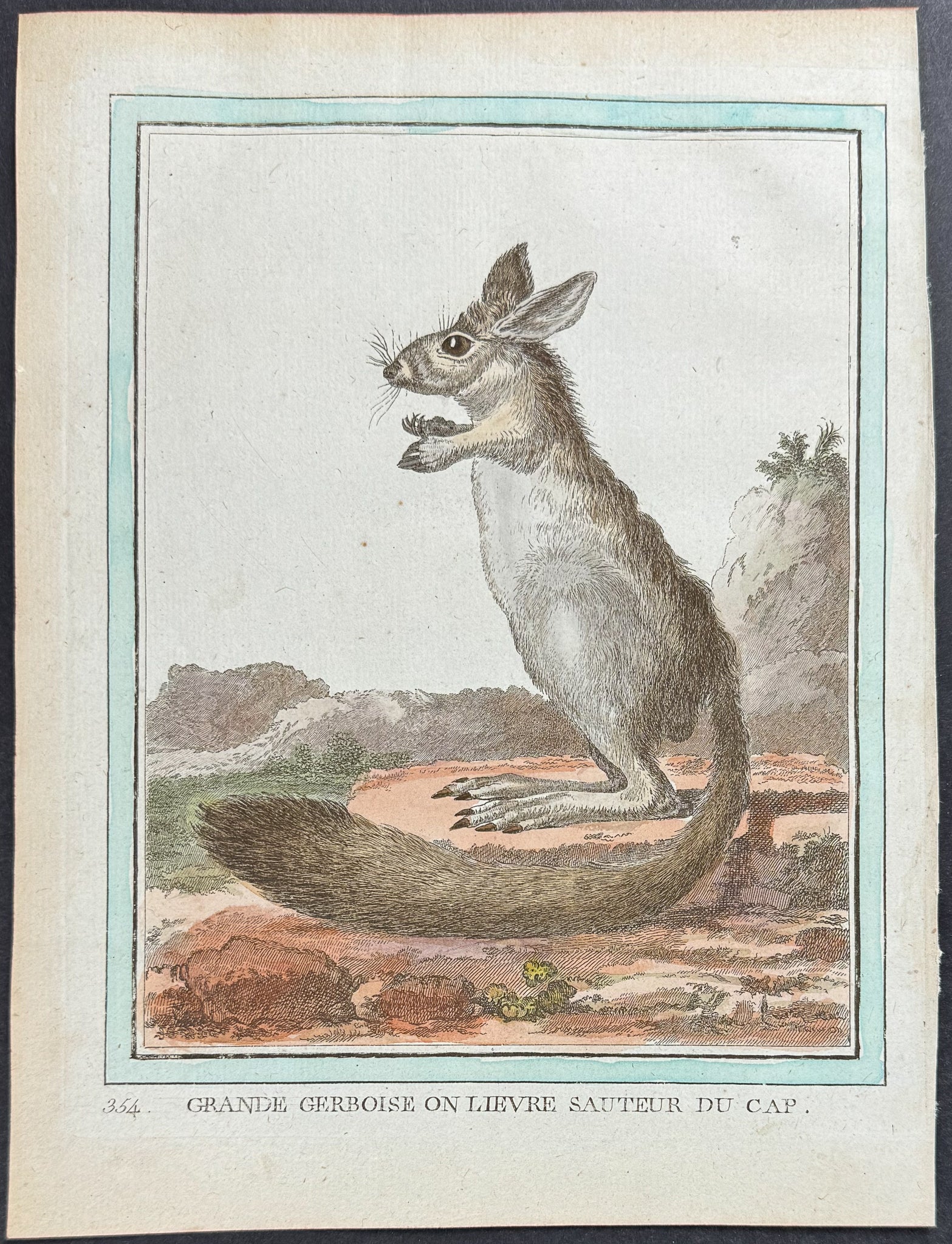 Jerboa