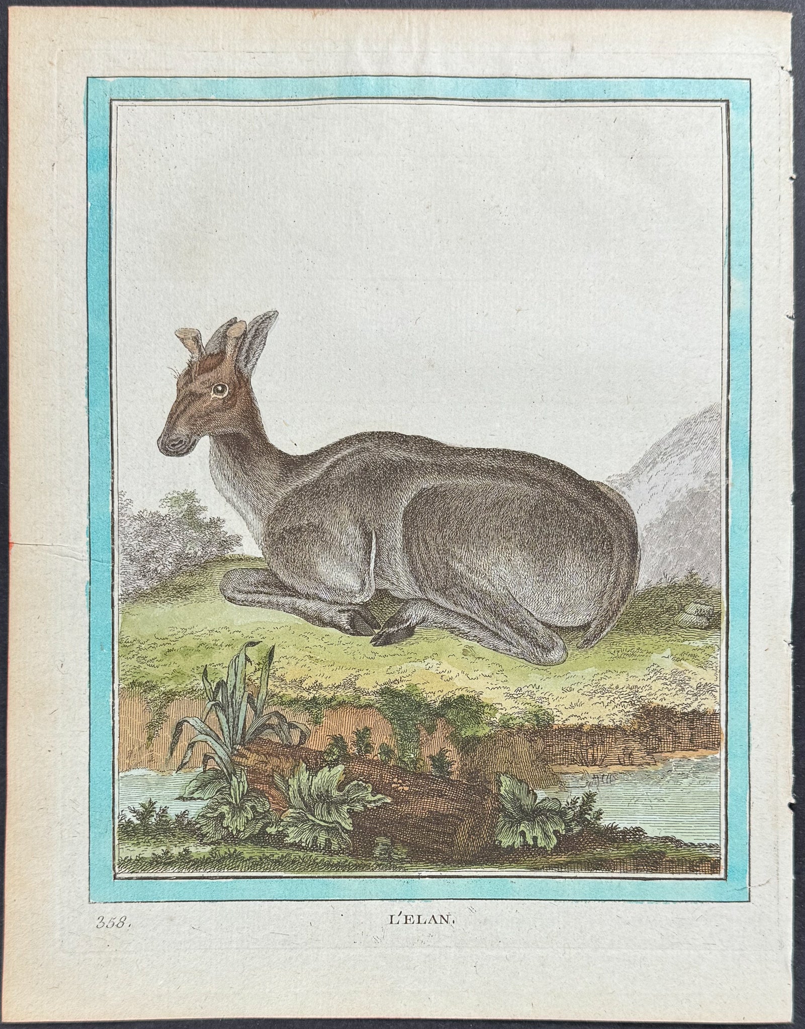 Alces or Eland